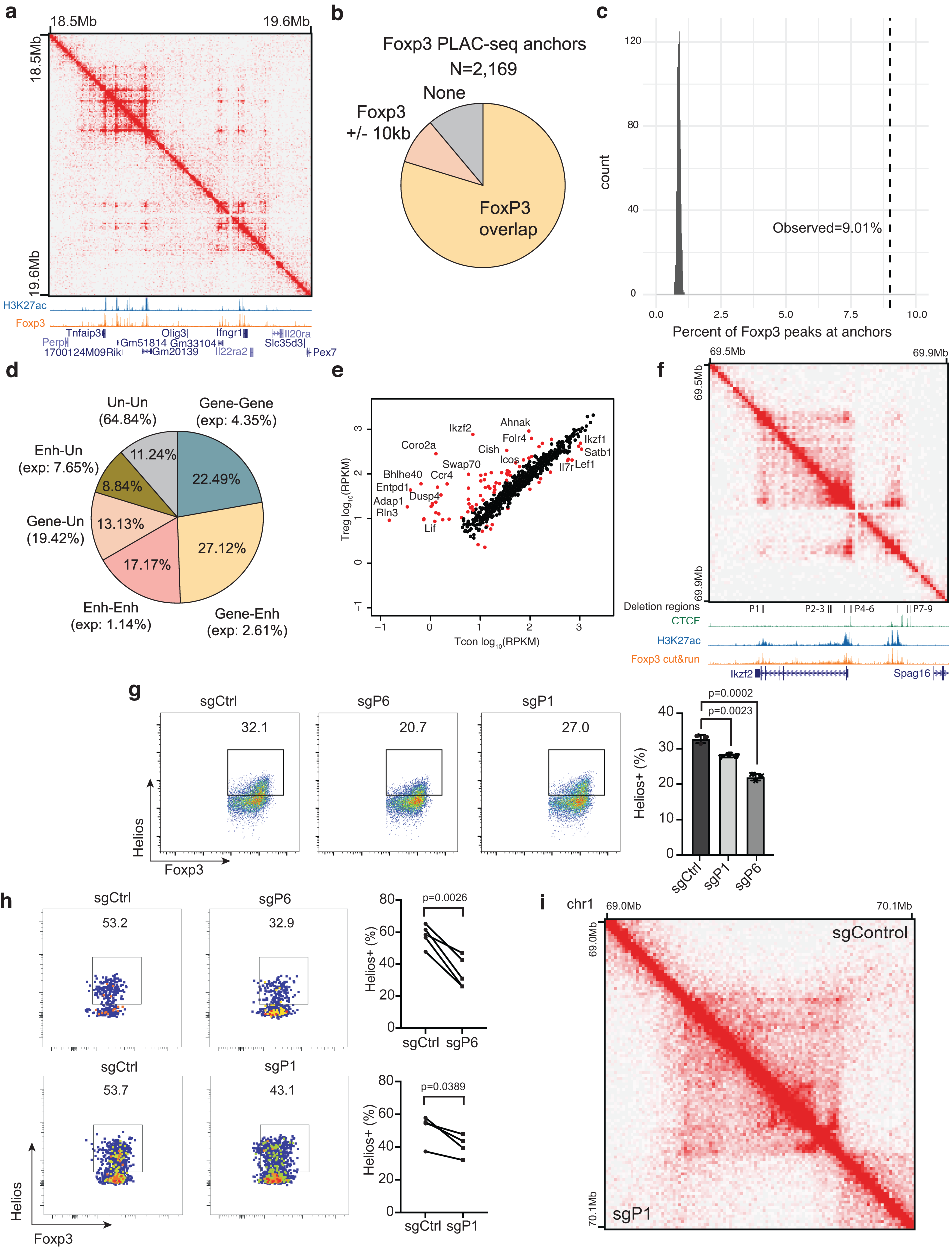 Fig. 6: Foxp3-associated chromatin interactions link distal enhancers to Treg signature genes.