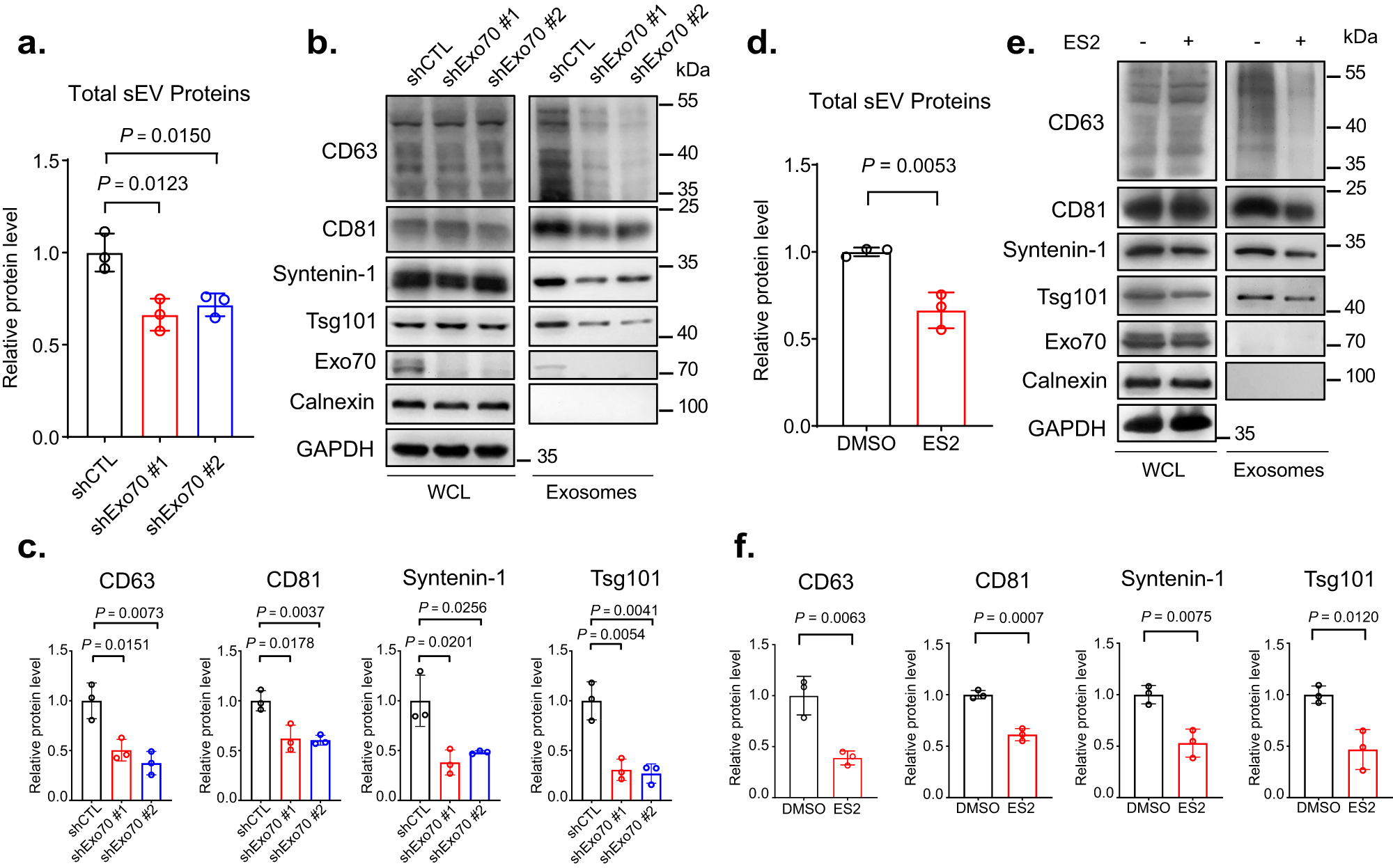 A phosphoinositide switch mediates exocyst recruitment to multivesicular  endosomes for exosome secretion | Nature Communications