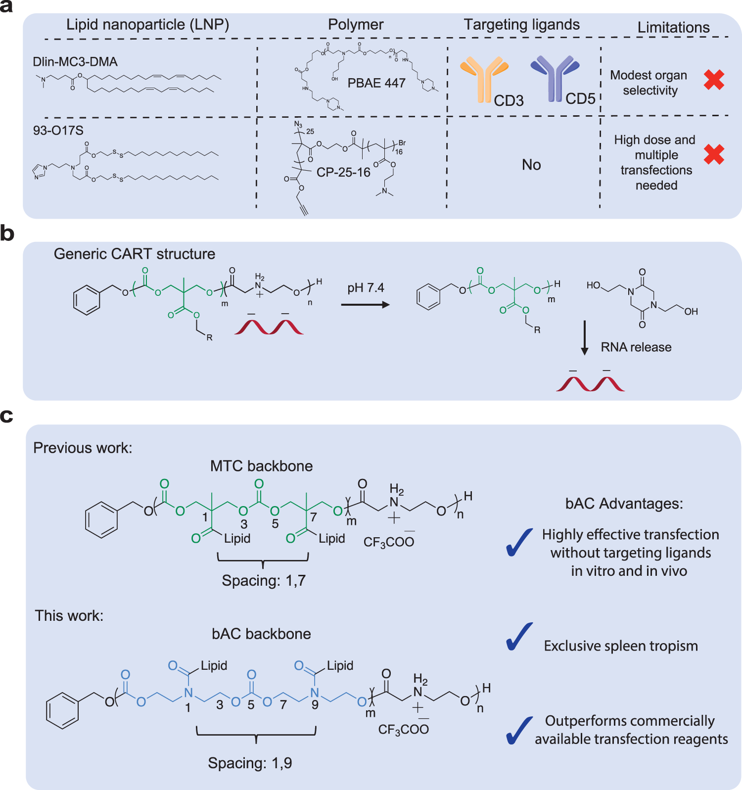 Fig. 1: Summary of nonviral delivery systems for primary T lymphocyte delivery.