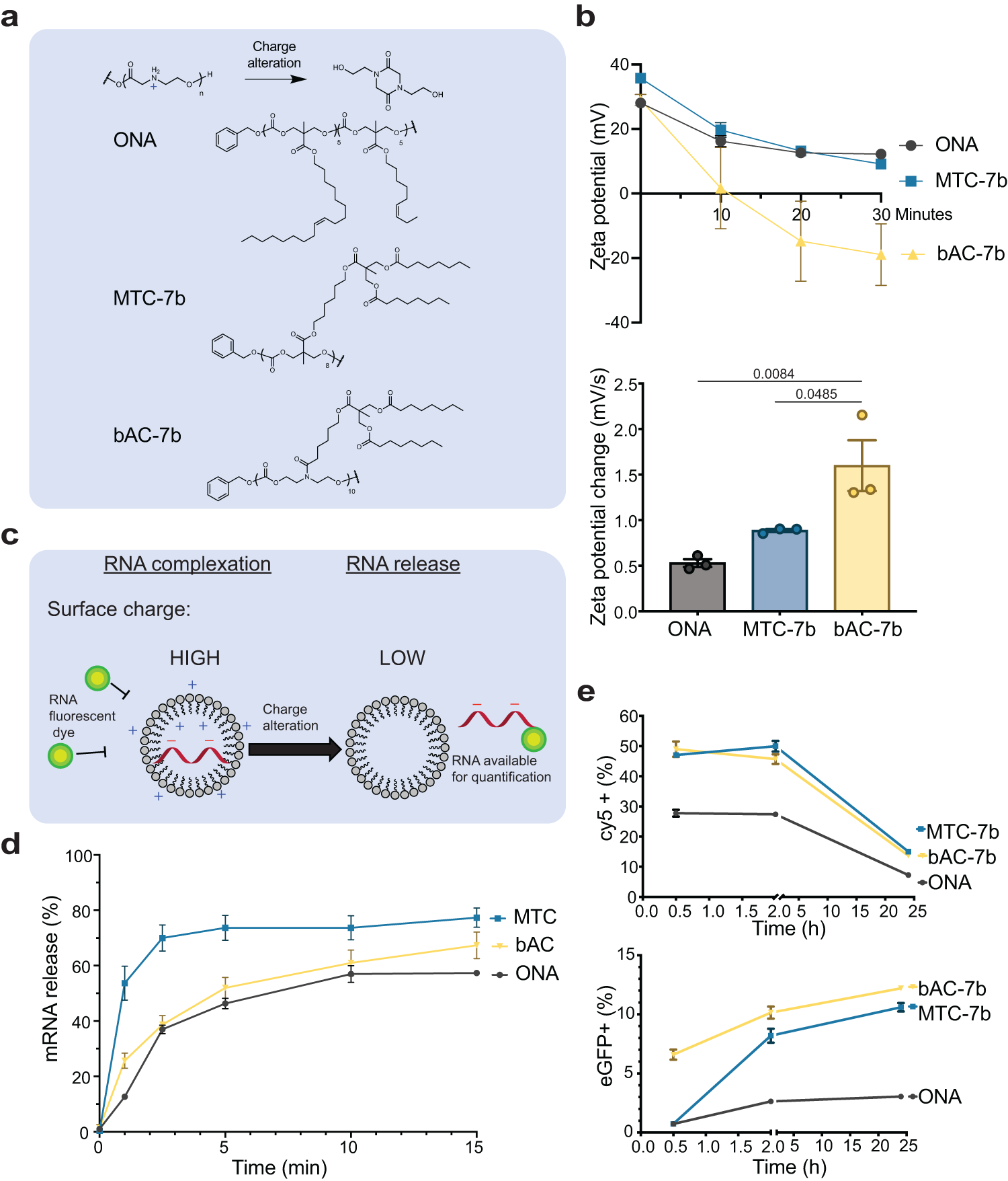 Fig. 5: bAC CARTs induce faster change in nanoparticle surface charge and earlier protein expression.