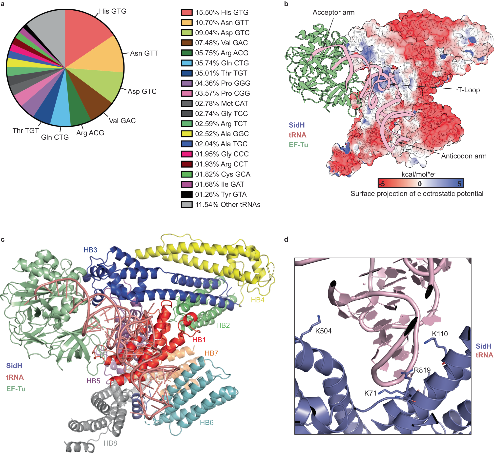 Fig. 2: SidH binding to tRNA is sequence independent.