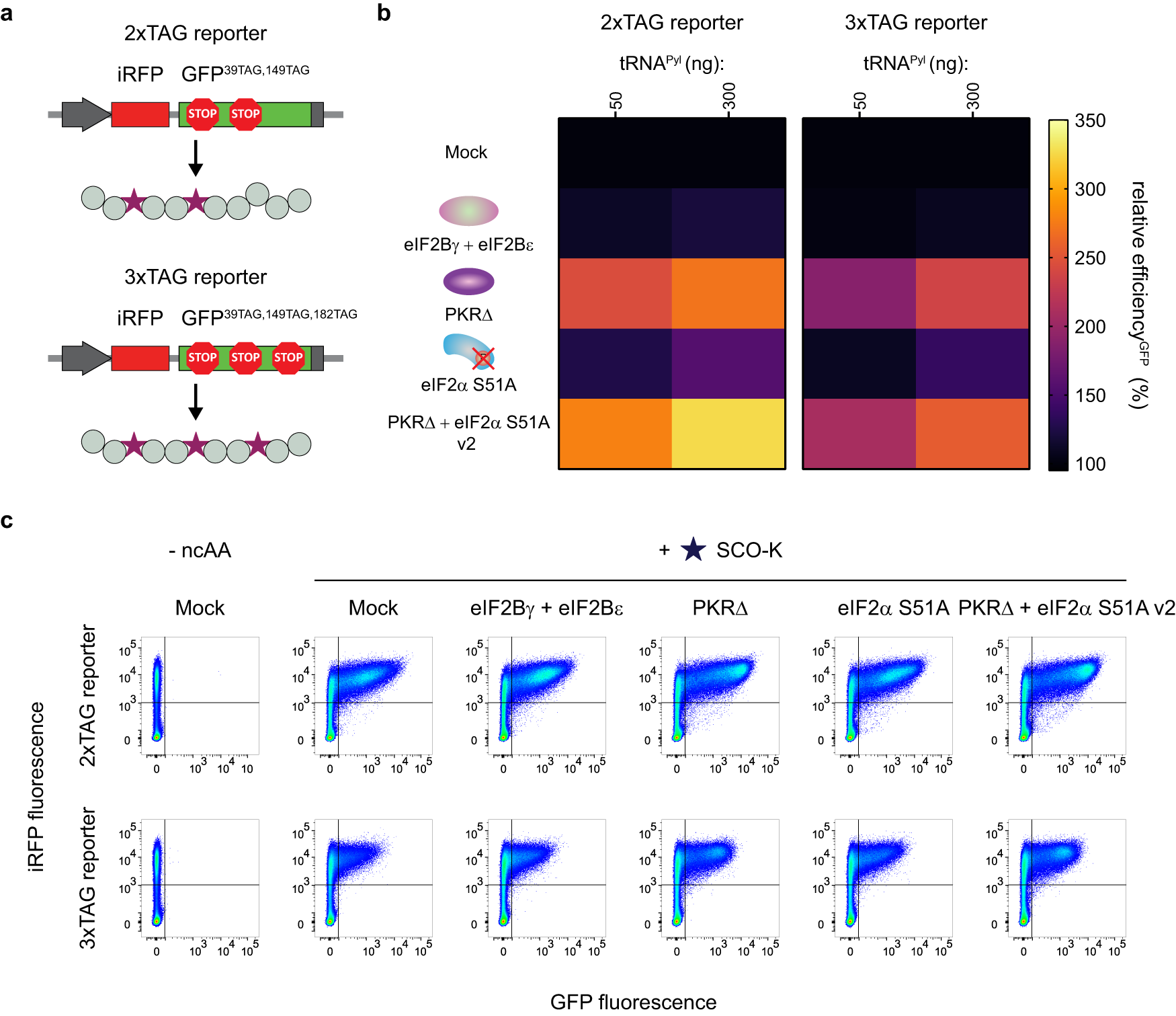 Fig. 2: Addition of various stress remodelers provides an increase in multiple ncAA incorporation.