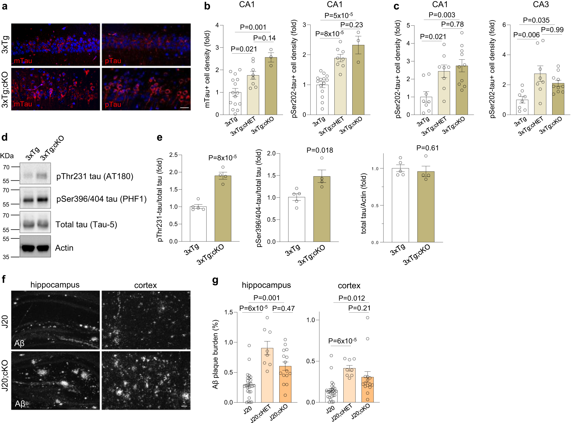 Fig. 7: REST suppresses tau accumulation and Aβ deposition in AD mouse models.