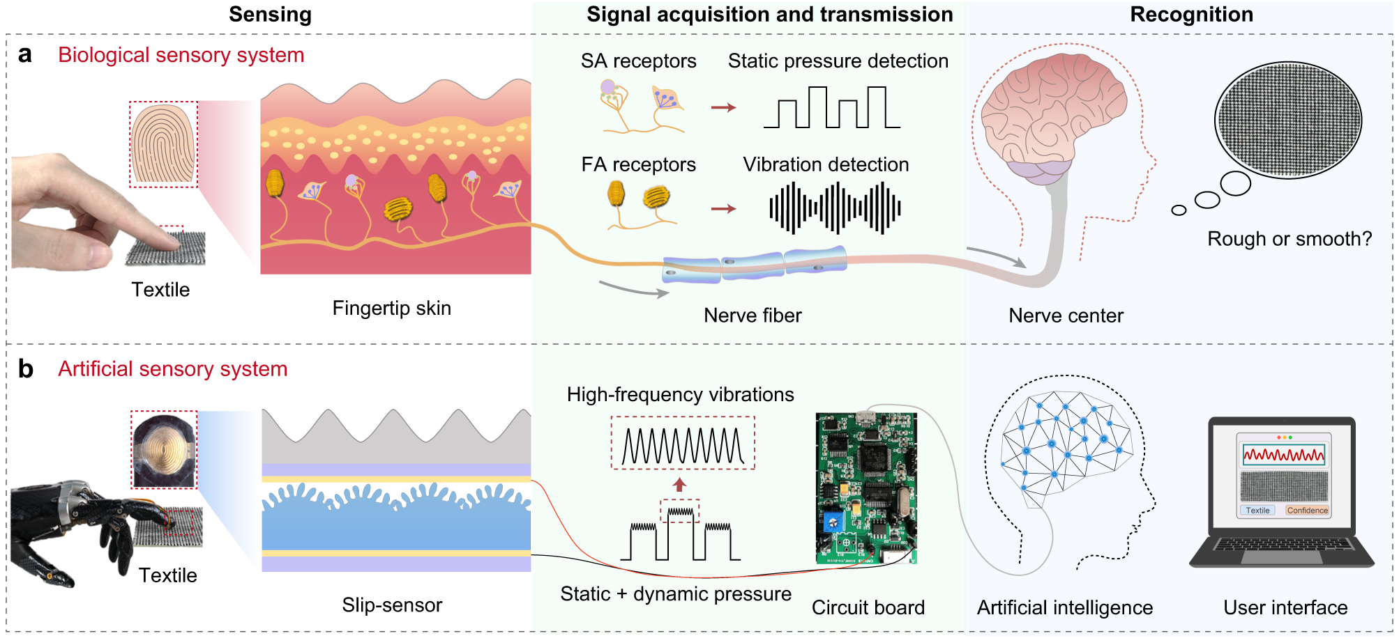 A robotic sensory system with high spatiotemporal resolution for