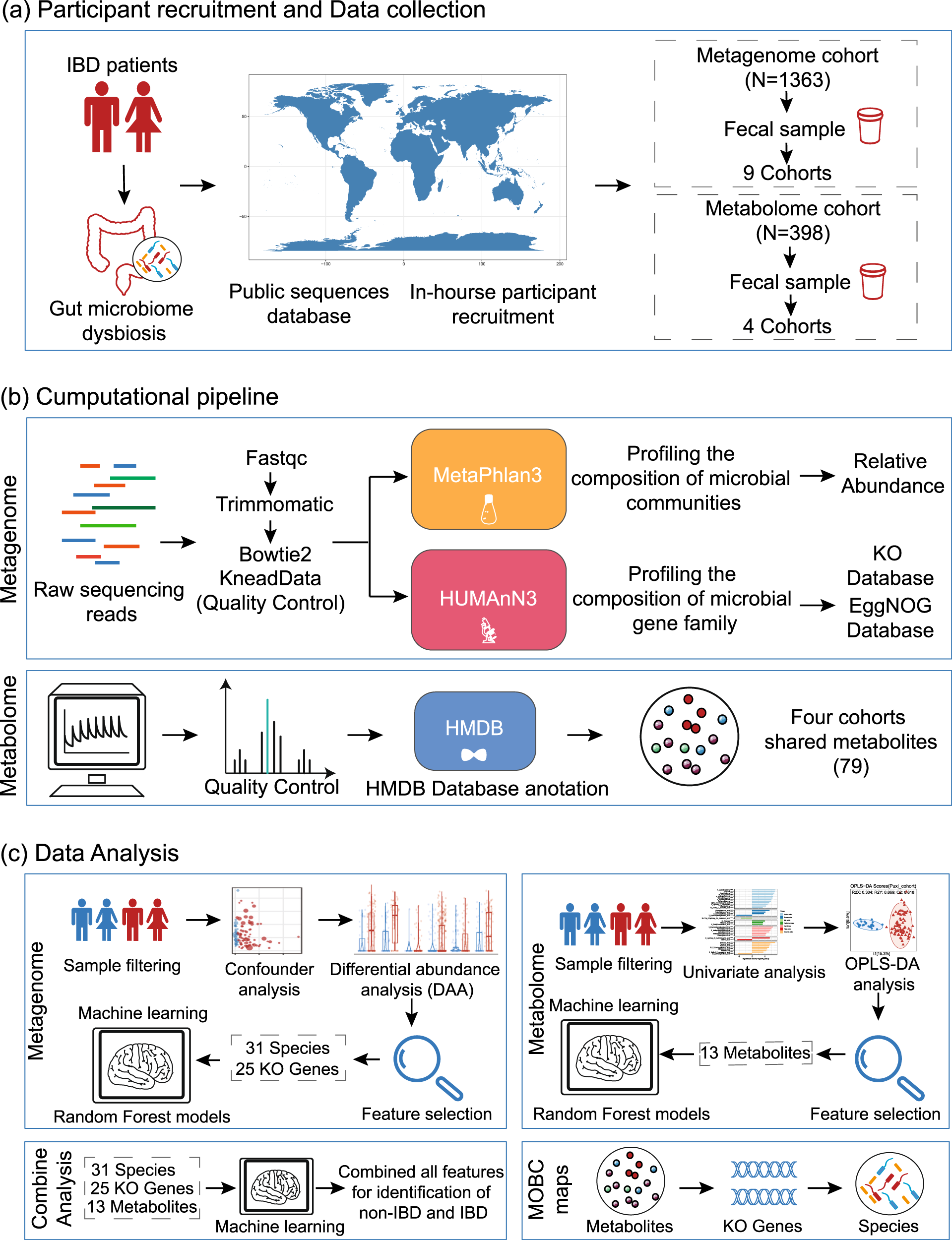 Microbiome and metabolome features in inflammatory bowel disease 