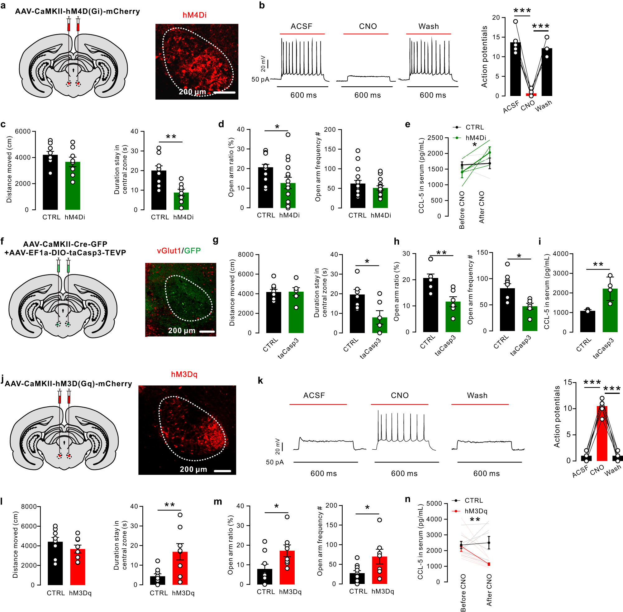 Fig. 5: Inhibiting or ablating RN glutamatergic neurons triggered anxiety-like behavior and an increase in CCL5.