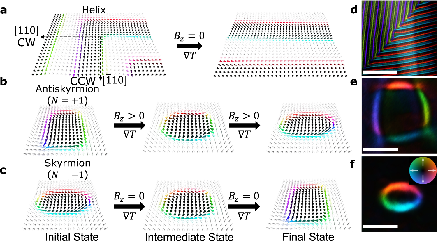 Real-space observations of 60-nm skyrmion dynamics in an insulating magnet under  low heat flow