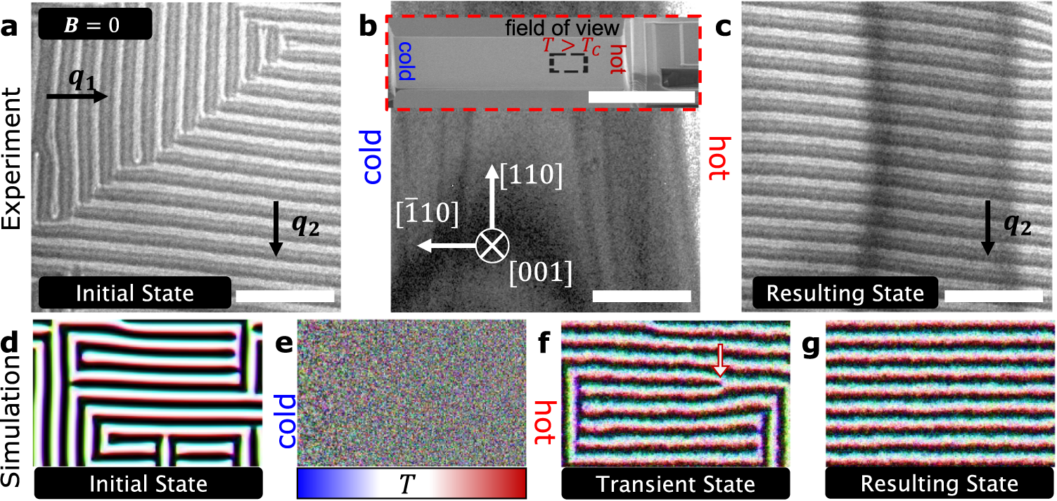 Fig. 2: Heat current-driven ordering of a double q-vector helical state to a single q-vector alignment at zero field.
