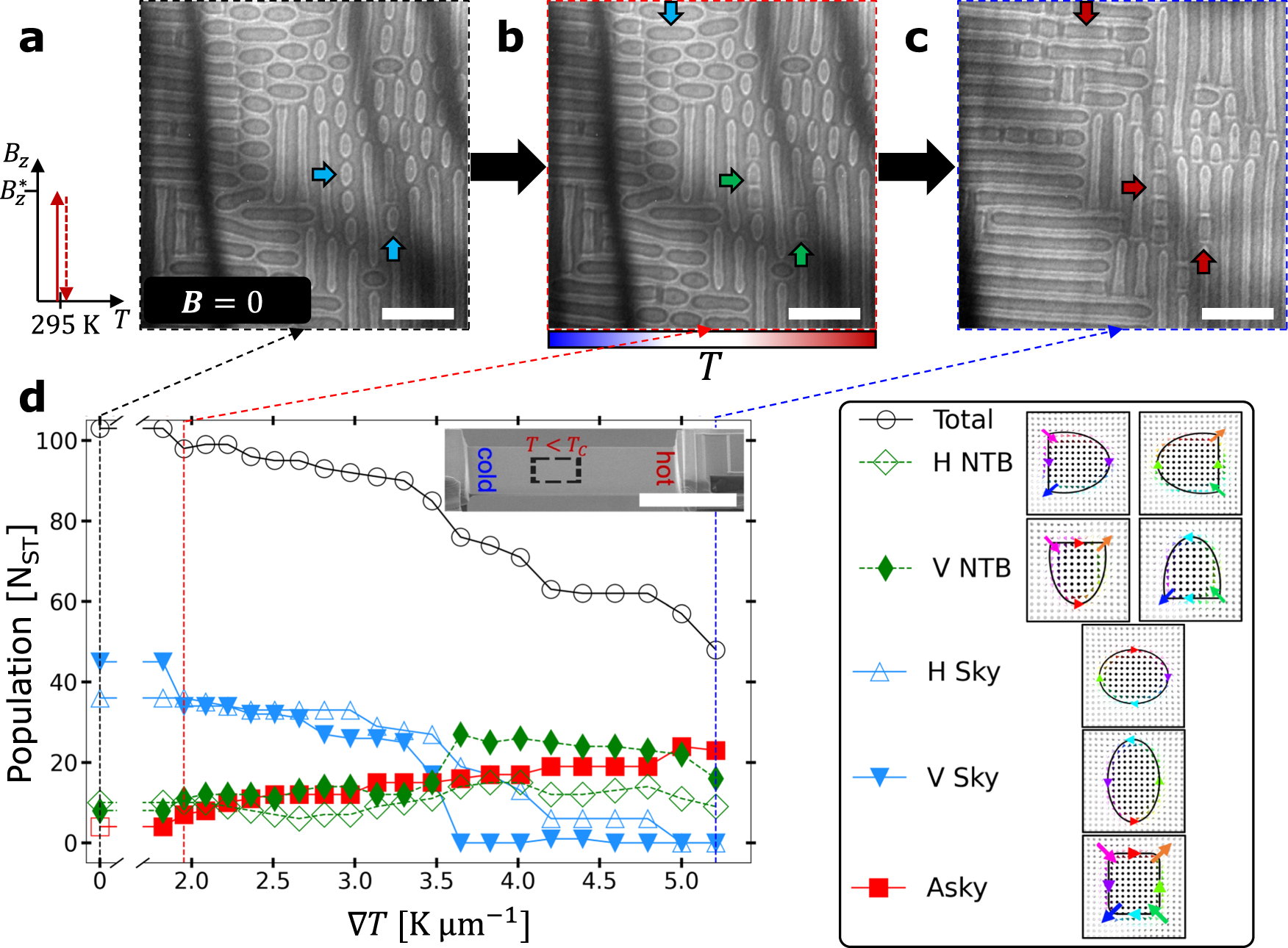 Fig. 3: Unidirectional transformation of topological spin textures at zero field via heat current.