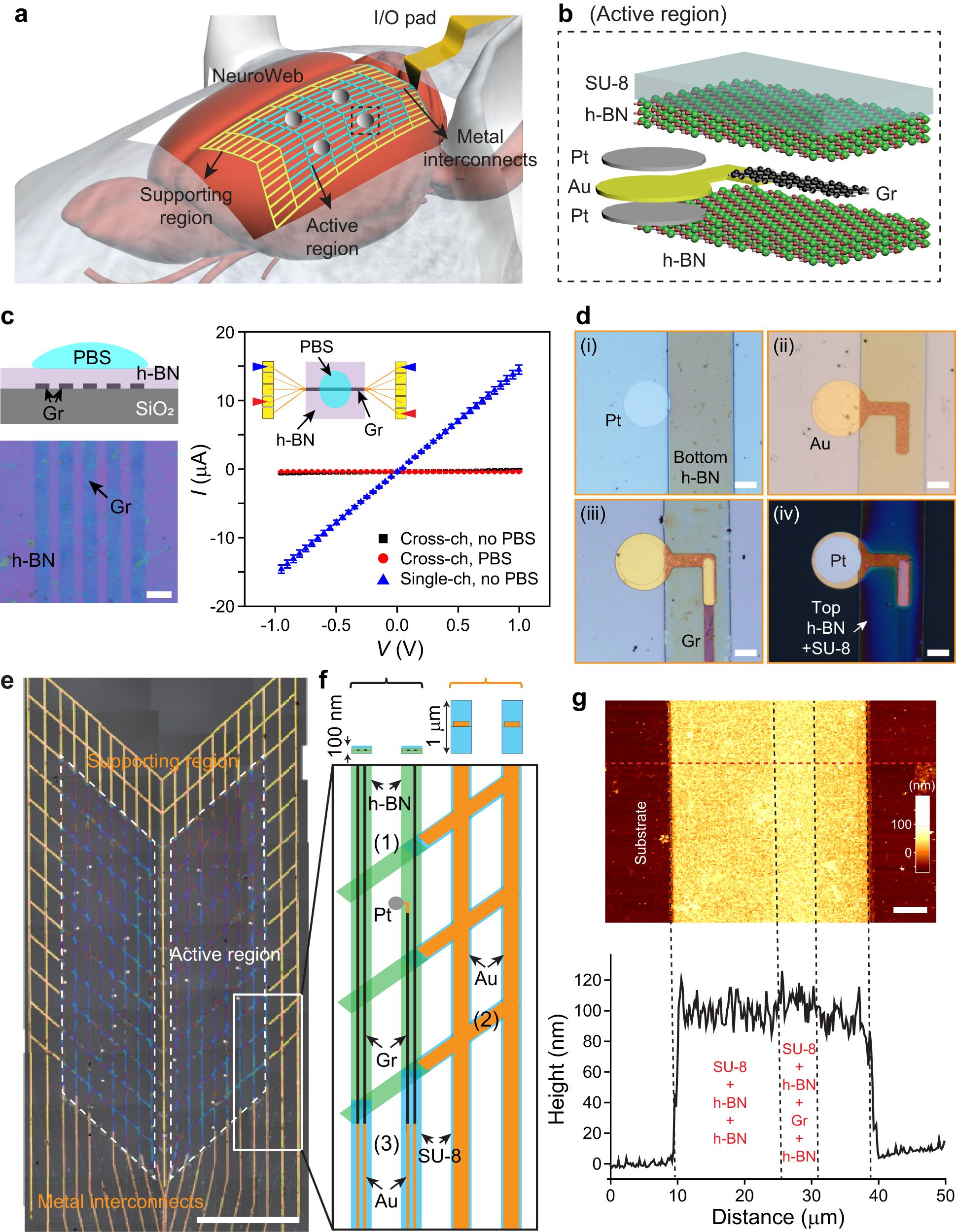 TENS Unit Placement 101: Insights into Effective Electrode Positioning