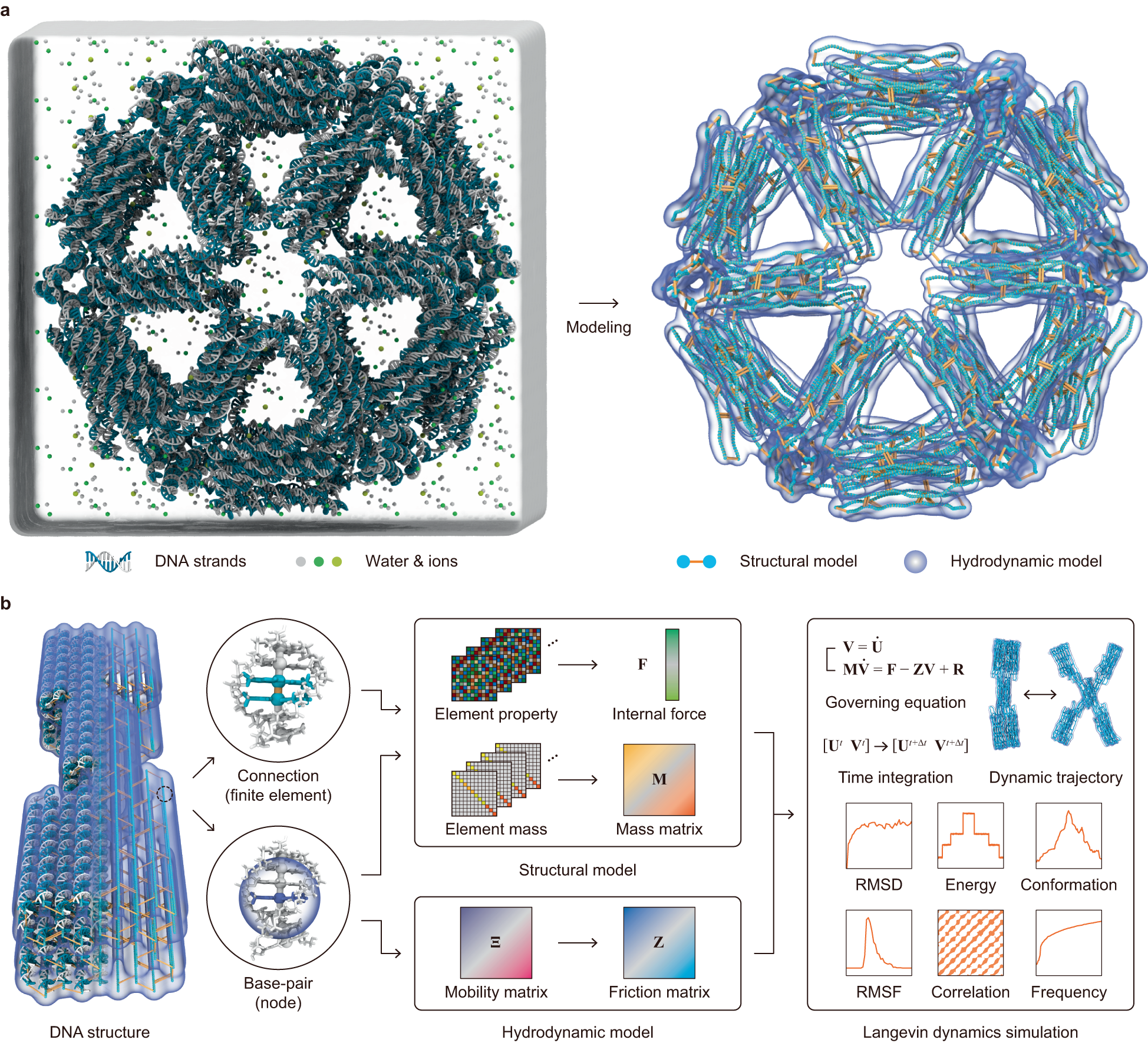 A computational model for structural dynamics and reconfiguration