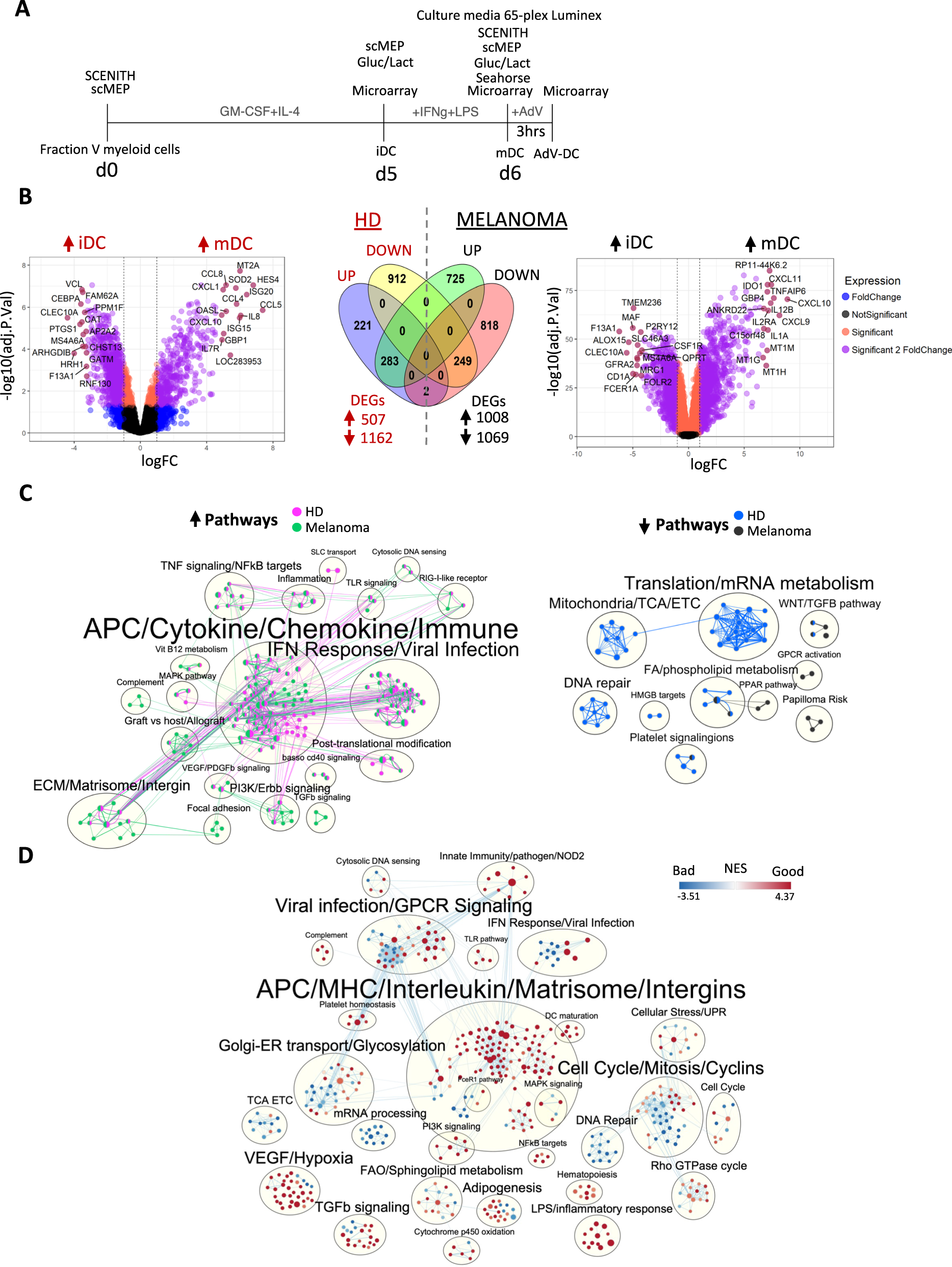 Immuno-metabolic dendritic cell vaccine signatures associate with overall  survival in vaccinated melanoma patients | Nature Communications