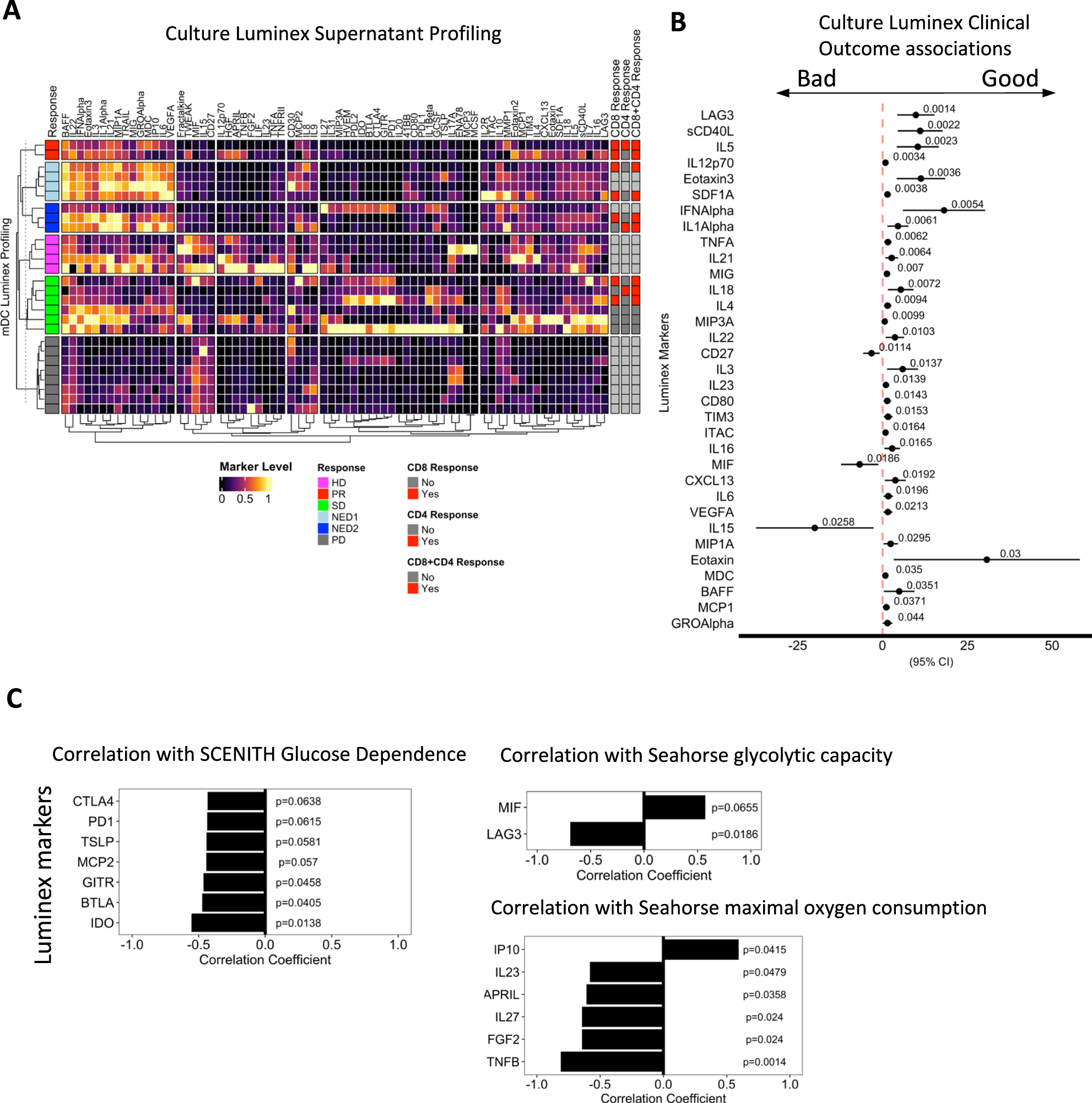 Fig. 6: Luminex mDC culture supernatant profiling.