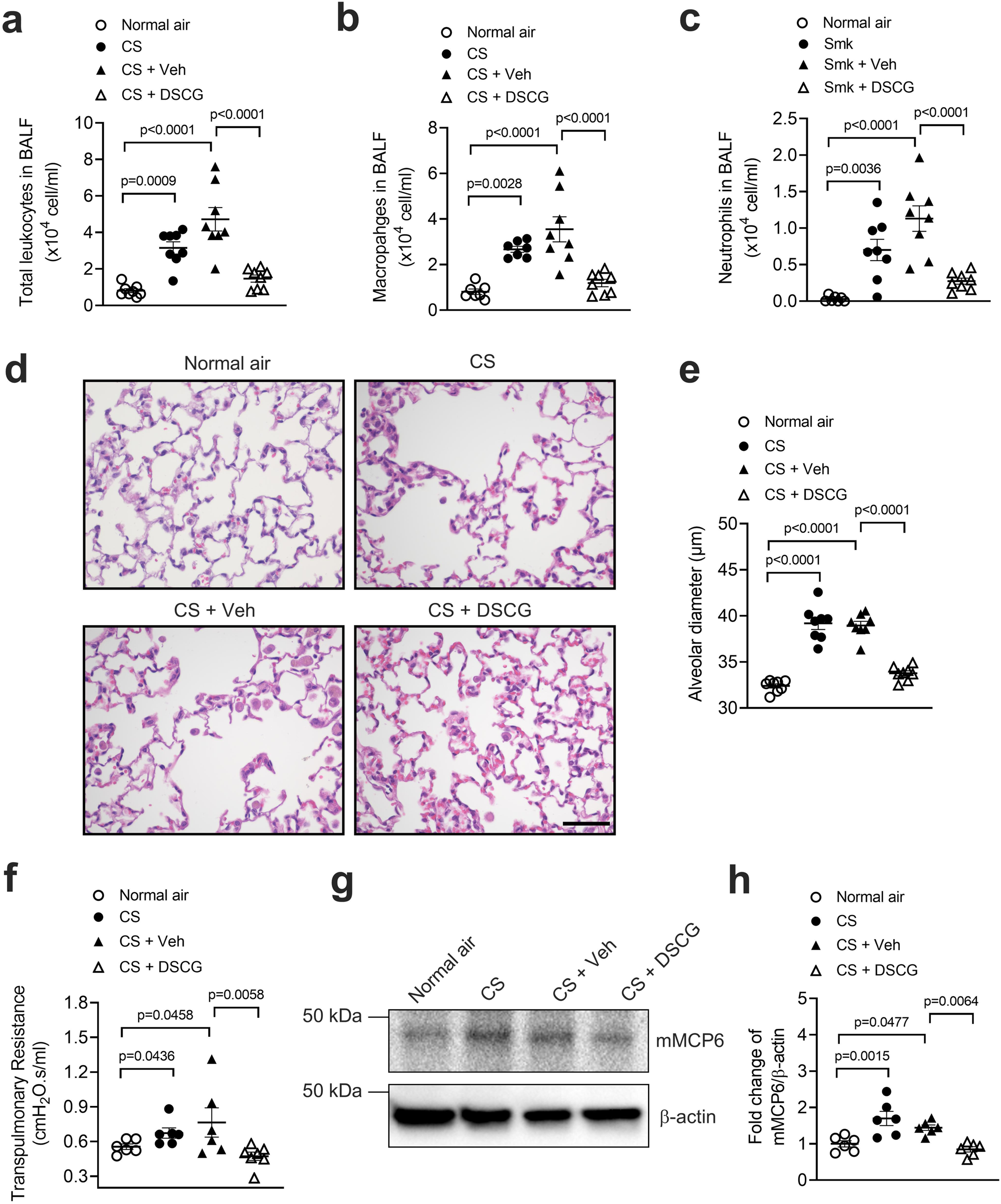 Fig. 7: Treatment with a mast cell degranulation stabilizer completely inhibits the development of experimental COPD and increases in the levels of mast cell tryptase.