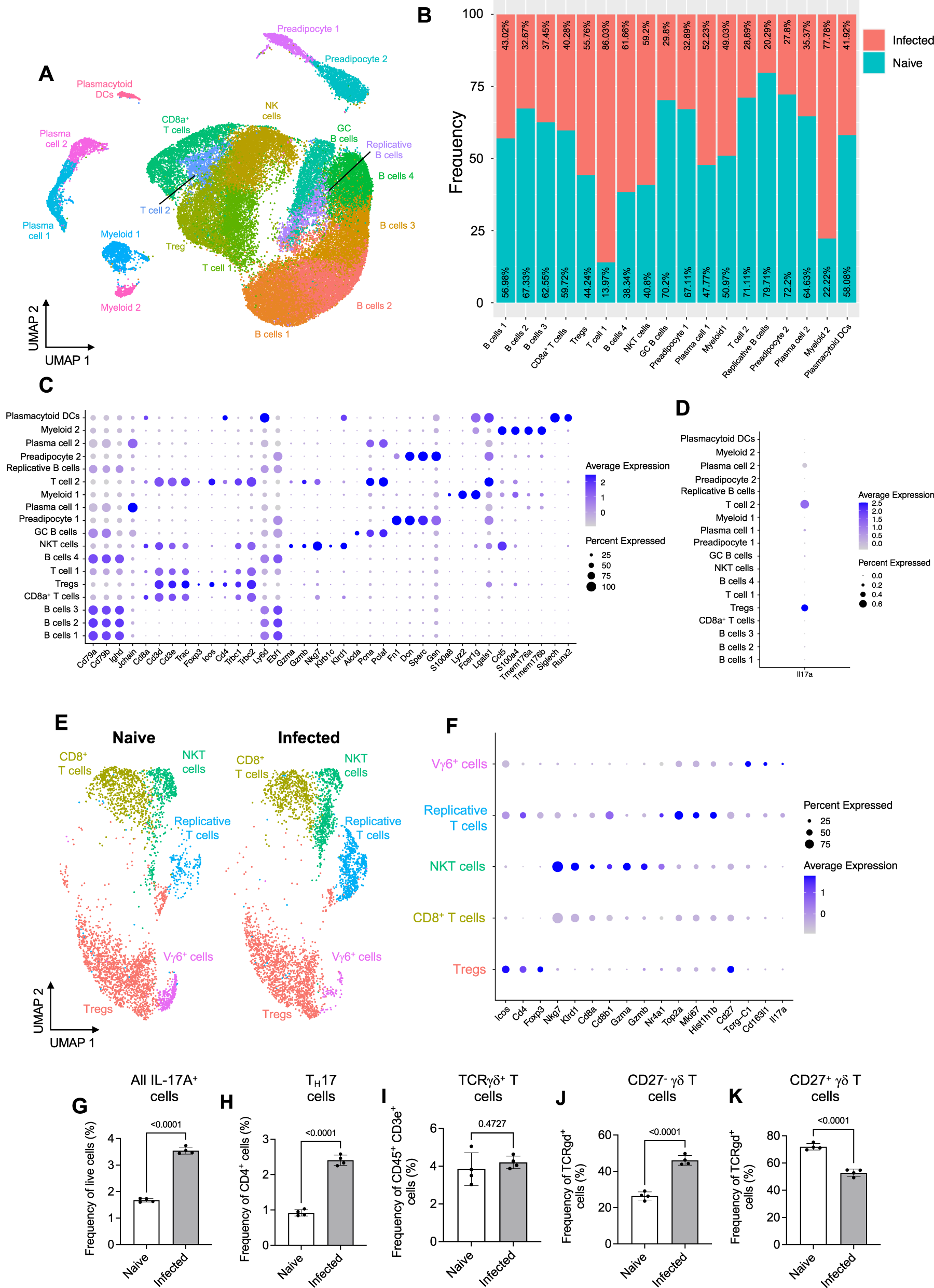 Fig. 6: T. brucei infection leads to expansion of IL-17A+ cells in the iWAT during early infection.