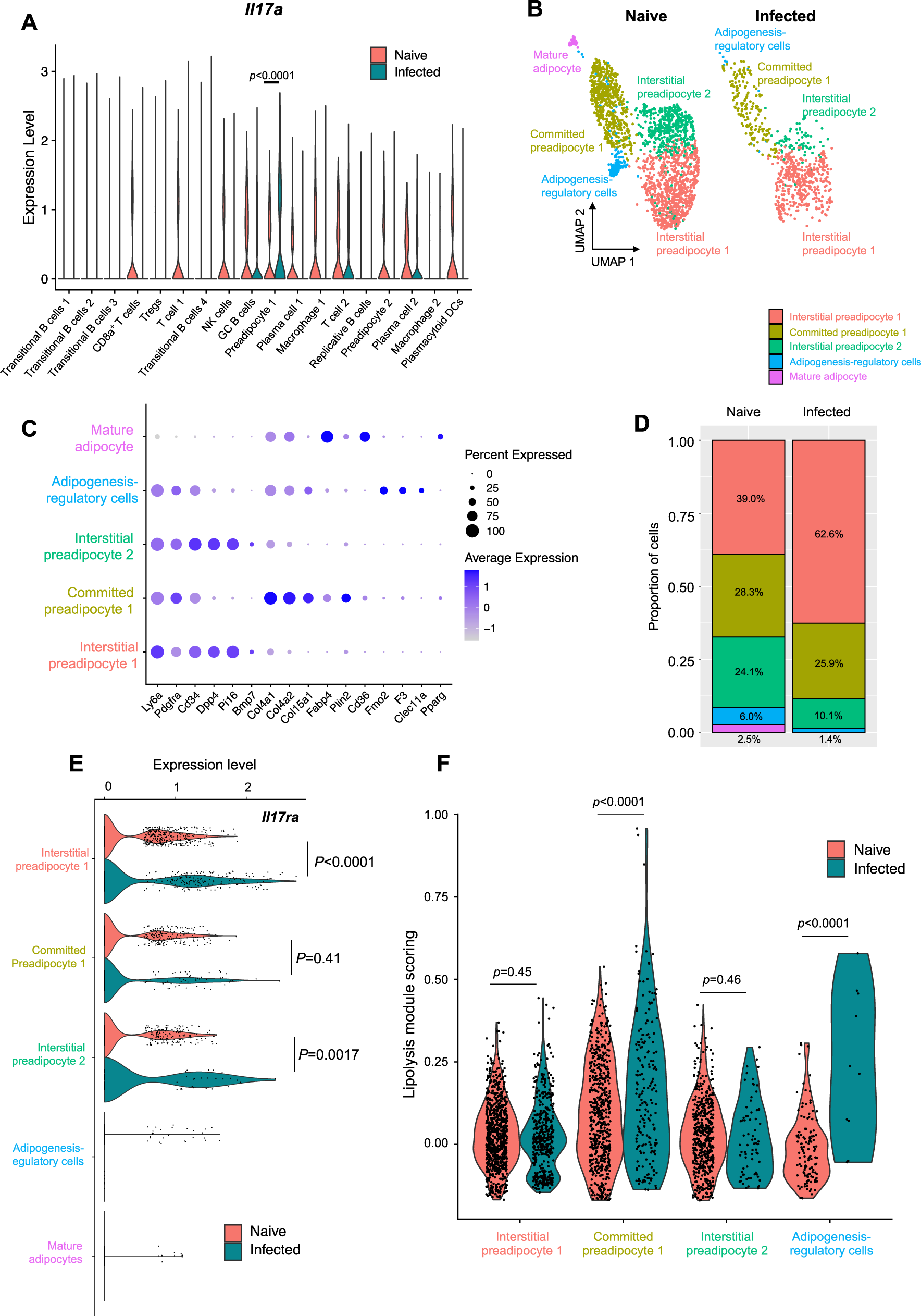 Fig. 7: T. brucei infection leads to upregulation of the IL-17A receptor and genes associated with lipolysis in preadipocytes.