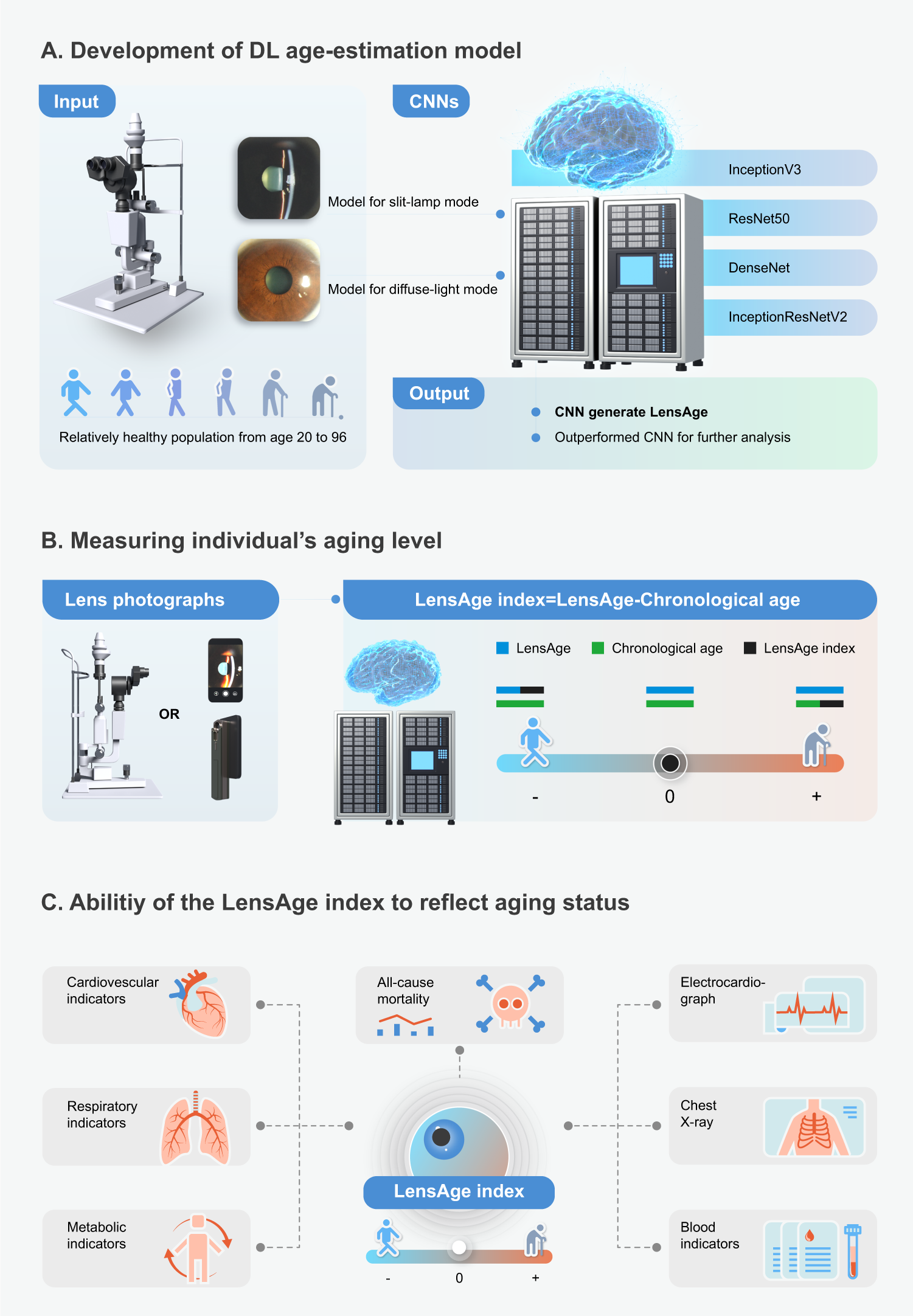 LensAge index as a deep learning-based biological age for self-monitoring  the risks of age-related diseases and mortality | Nature Communications