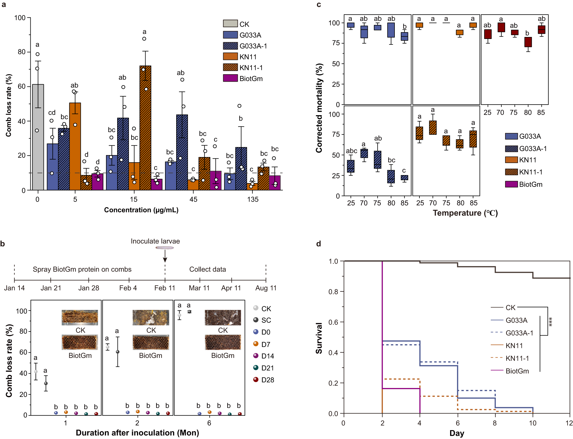 Fig. 3: Activity of spraying Bt on comb or pressing Bt into the foundation against the GWM.