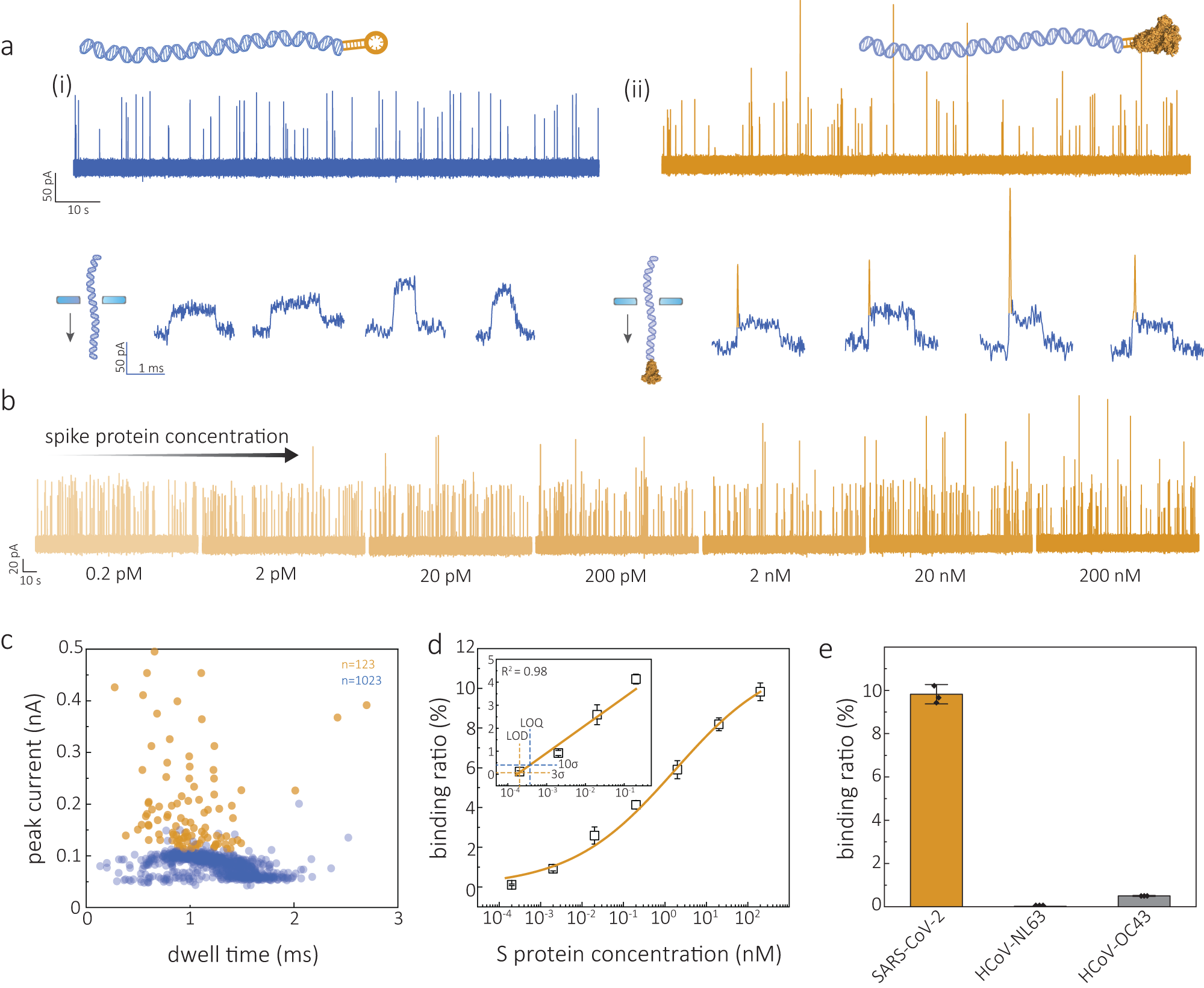 Fig. 2: Detection of S protein.