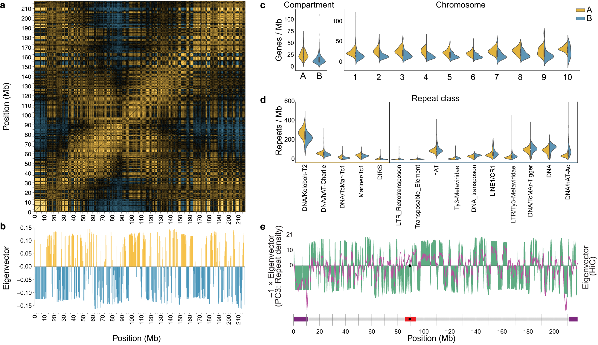 Fig. 5: A/B-compartment structure and gene/repeat densities.