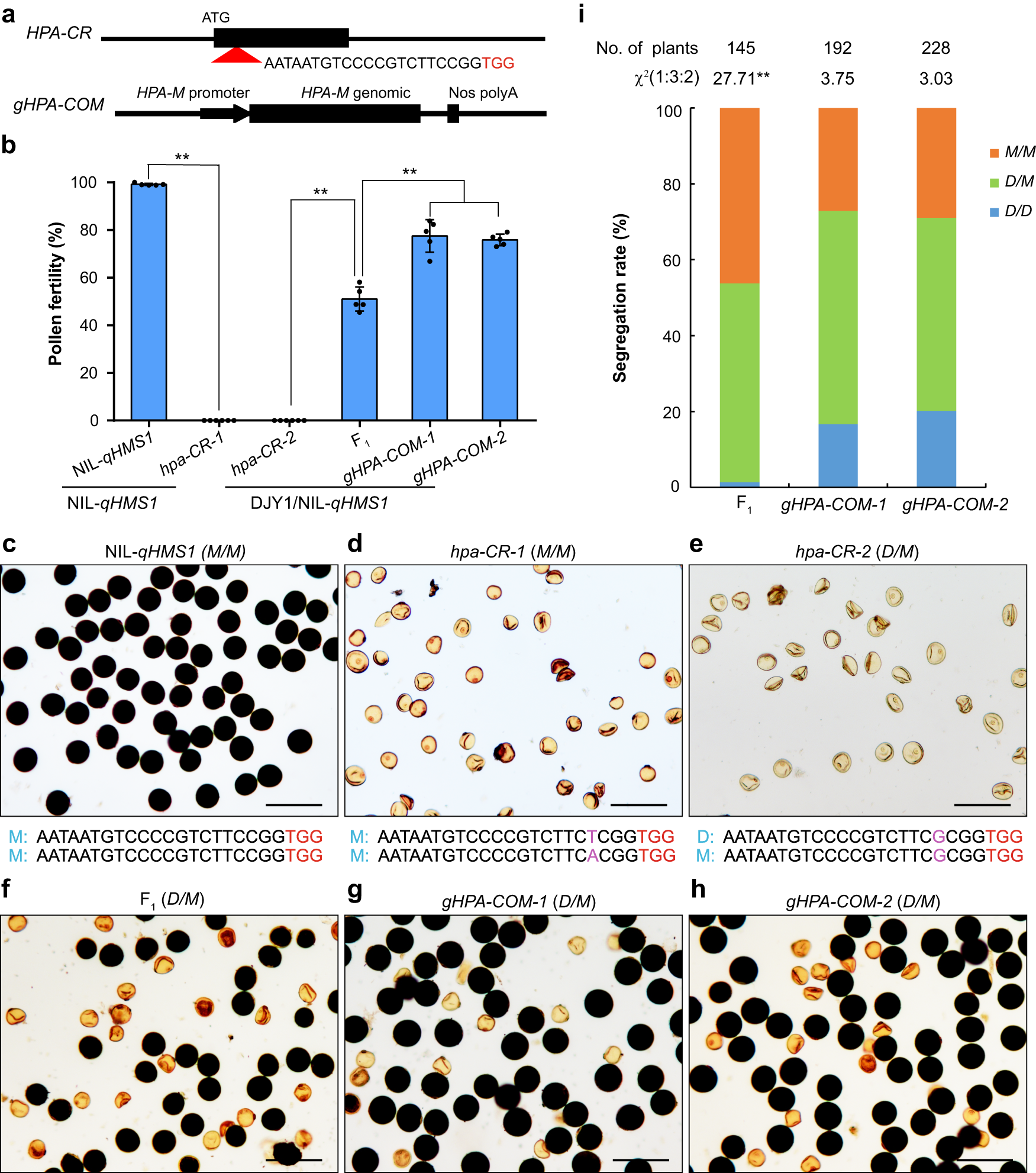 Fig. 3: HPA functions as an antidote.