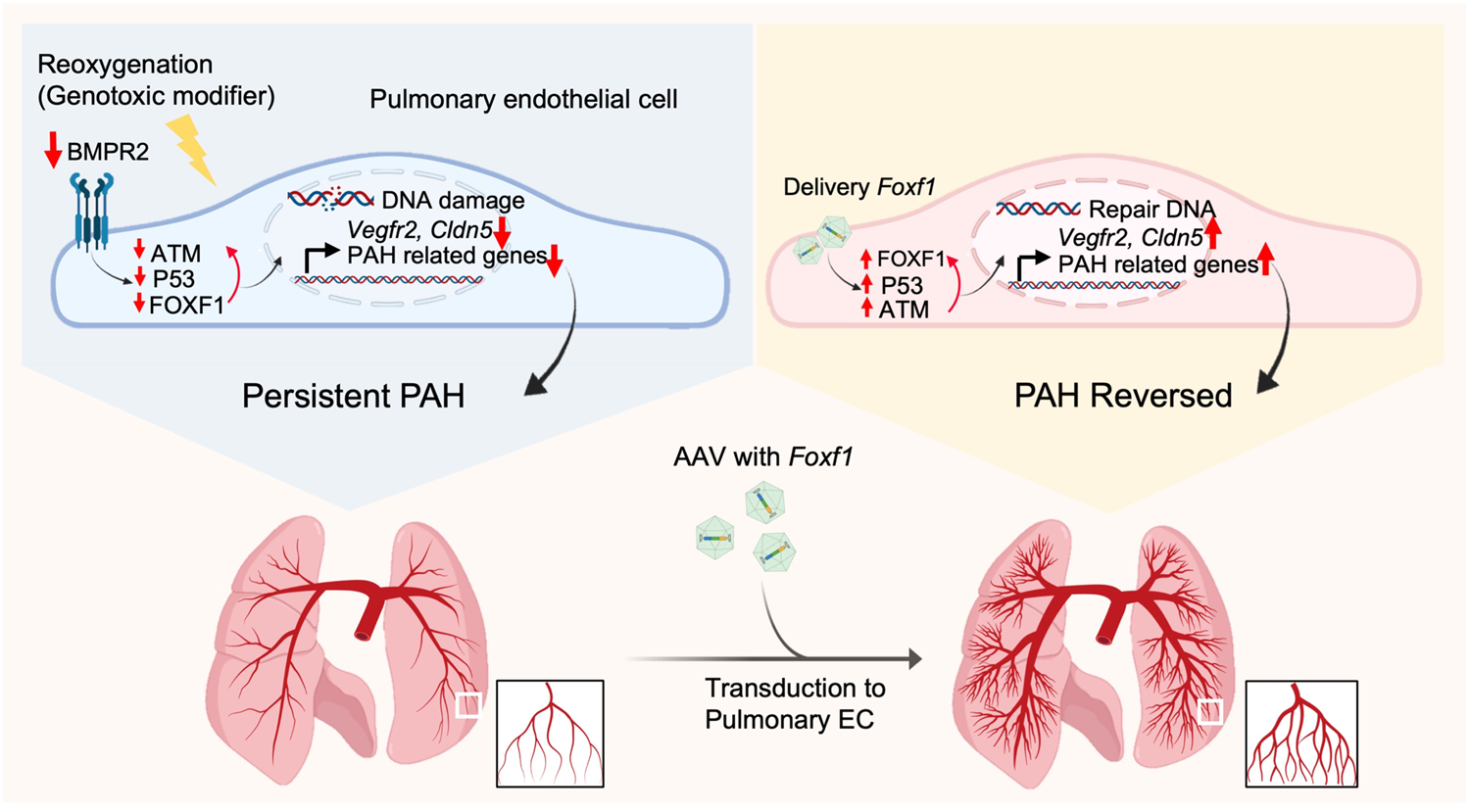 Fig. 8: Summary of Results.