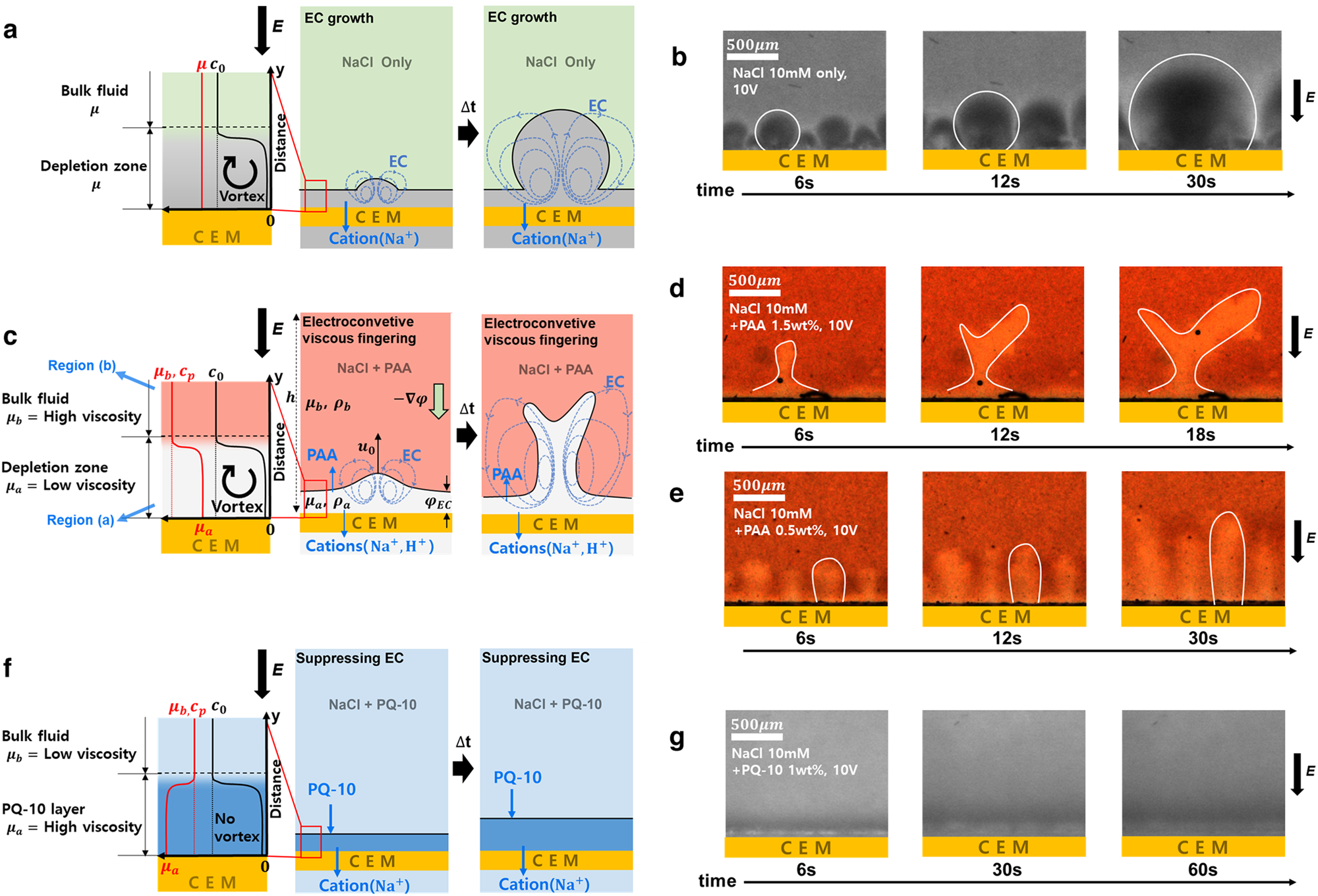 Fig. 1: Schematic illustration of EC under a viscosity gradient.