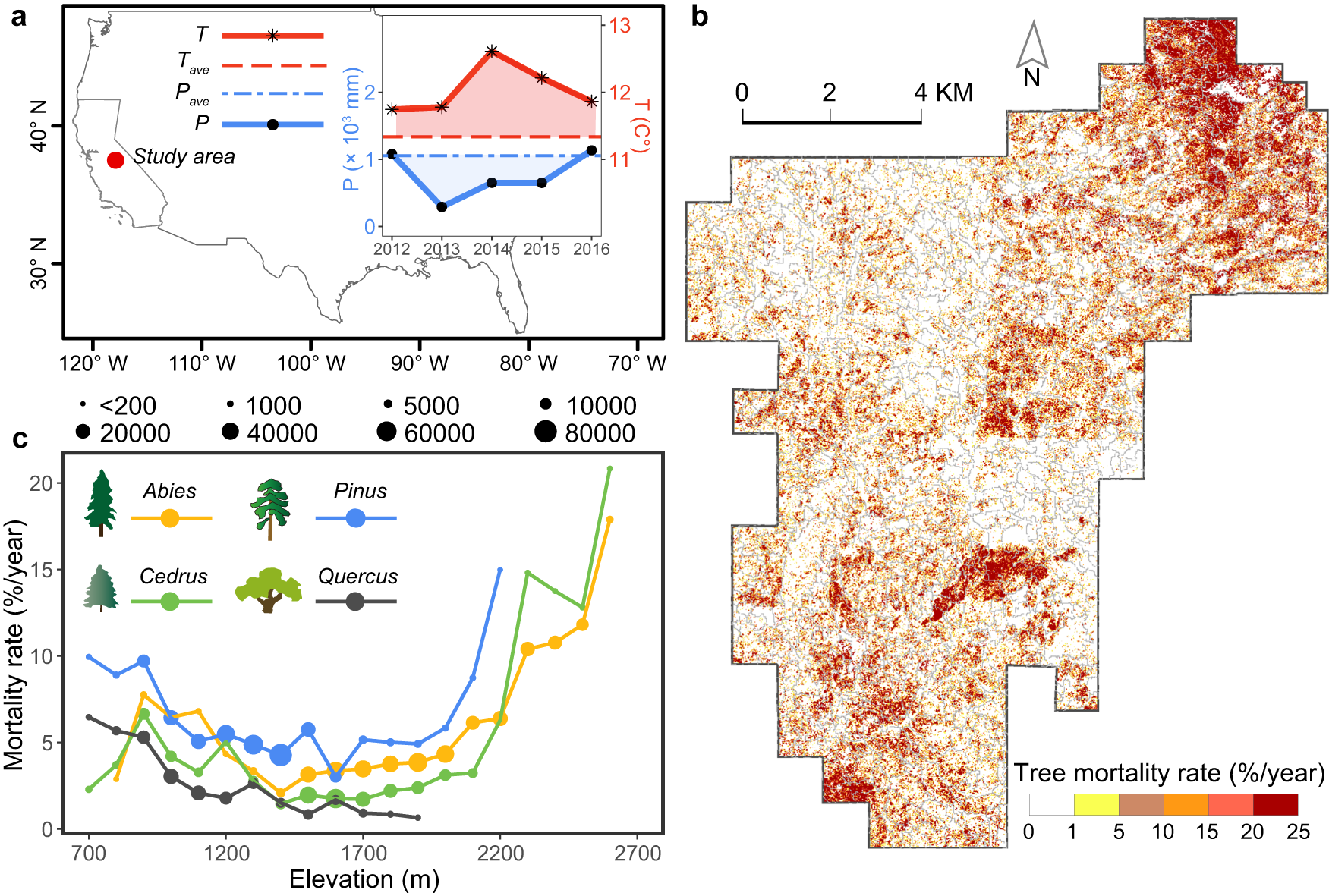 Fig. 2: Tree mortality rate varied by spatial location, genus, and elevation.