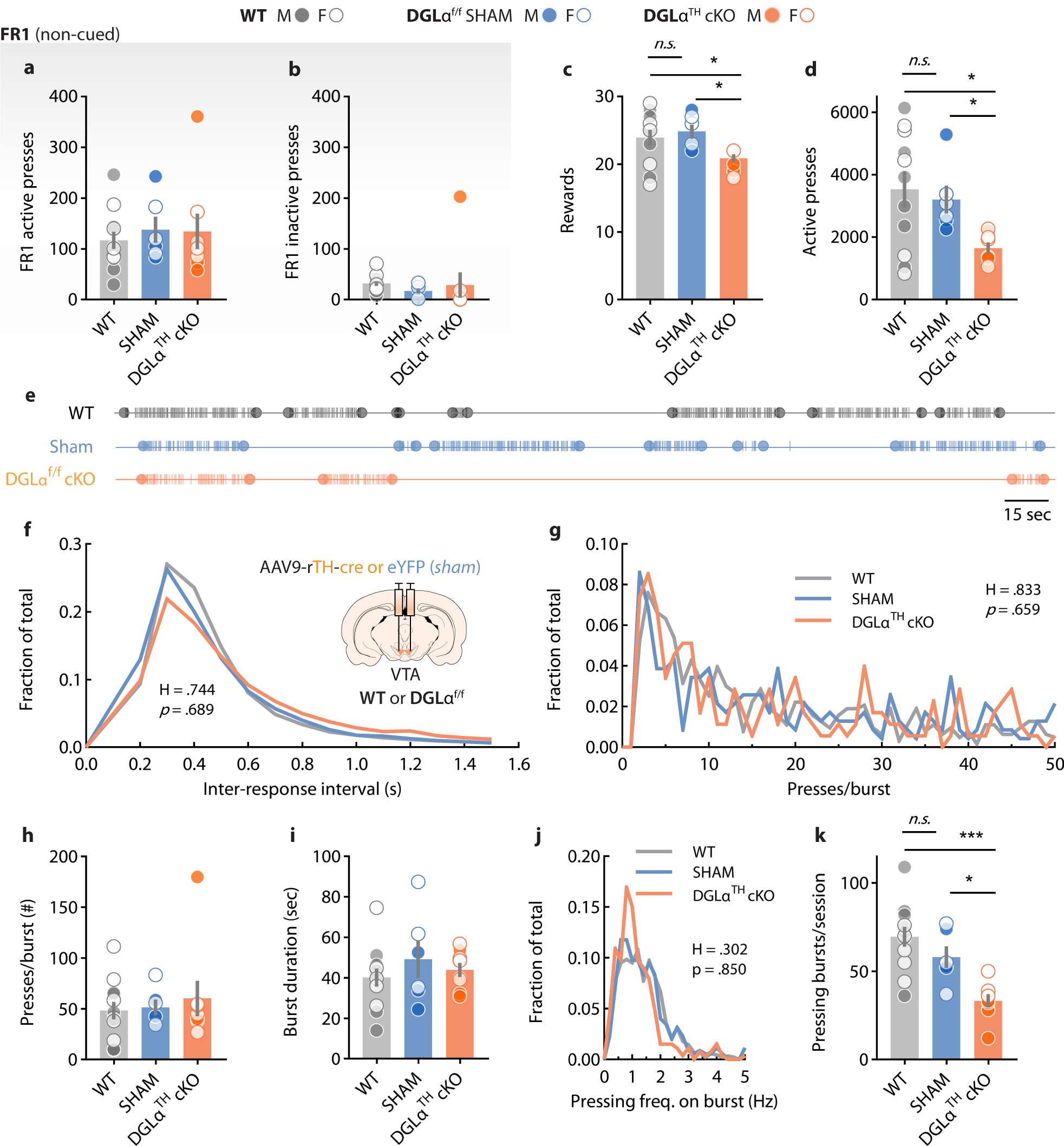 Fig. 2: DGLα deletion from VTA dopamine neurons blunts spontaneous task engagement without motor, genotypic or viral confounds.