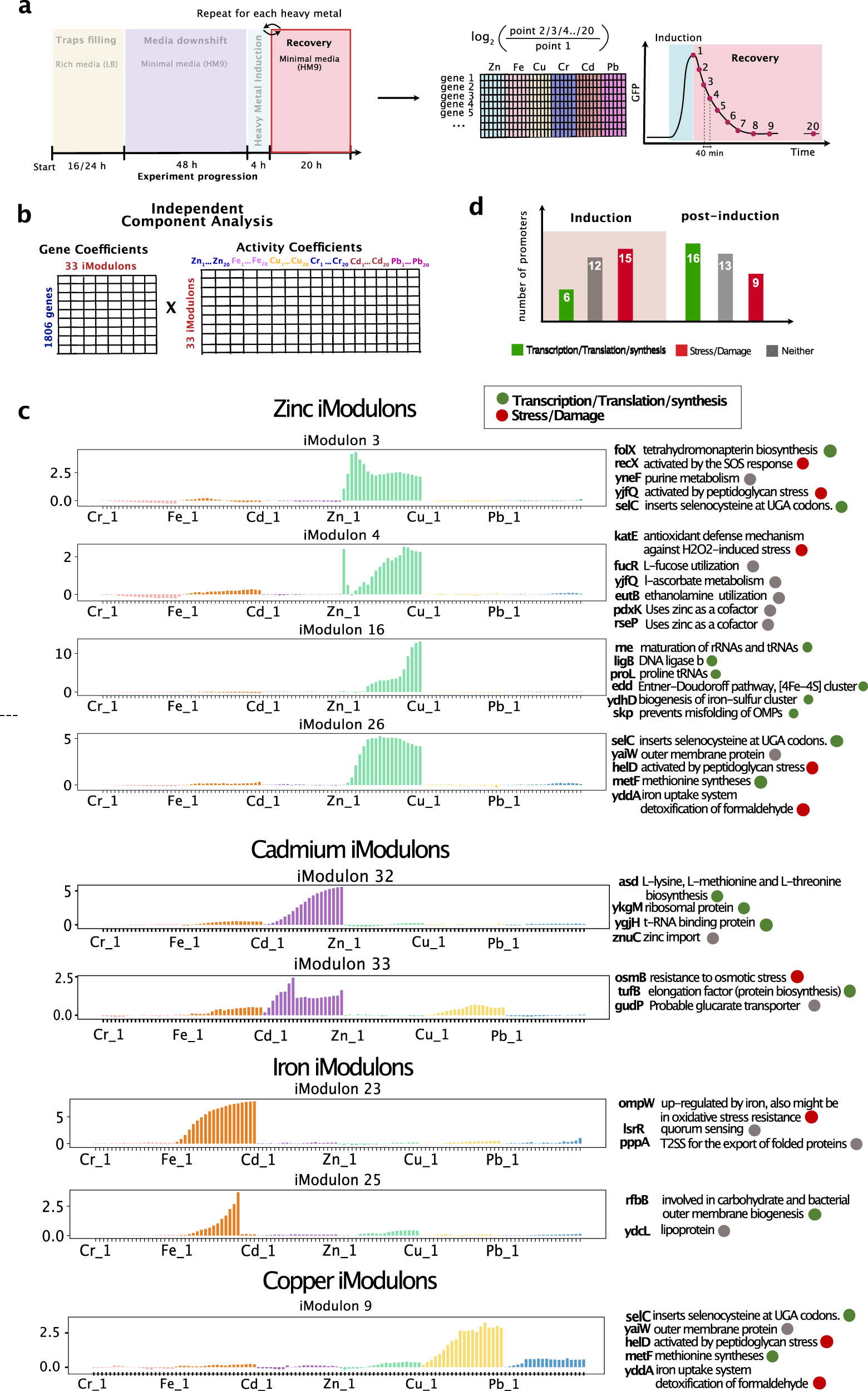 Fig. 4: ICA analysis of the recovery period following heavy metal inductions.