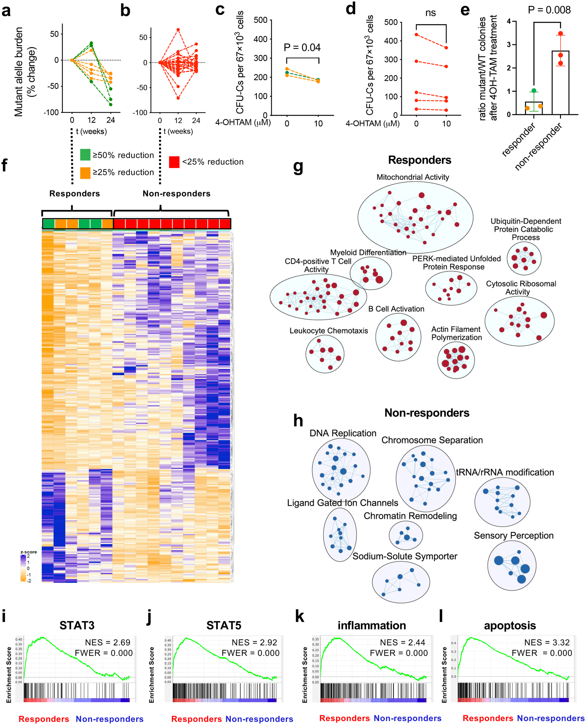 Fig. 2: Distinctive transcriptomic signature of HSPCs from tamoxifen responders at baseline.