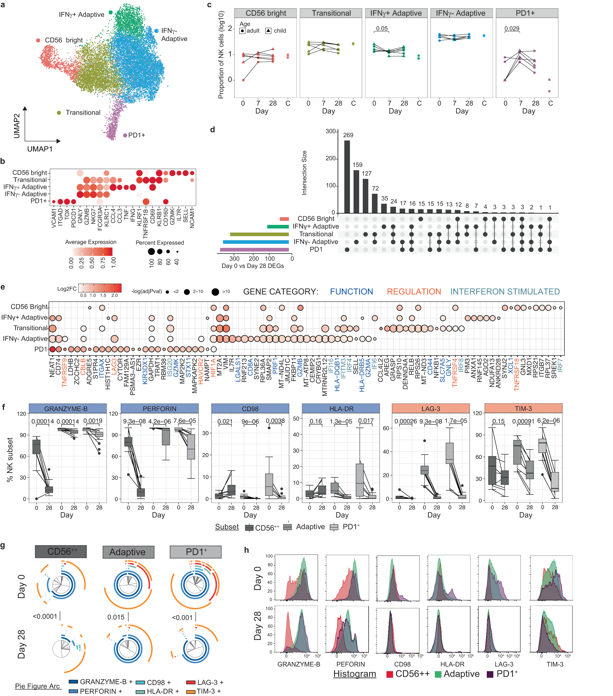 Fig. 3: Subset specific activation and regulation of NK cells in malaria.