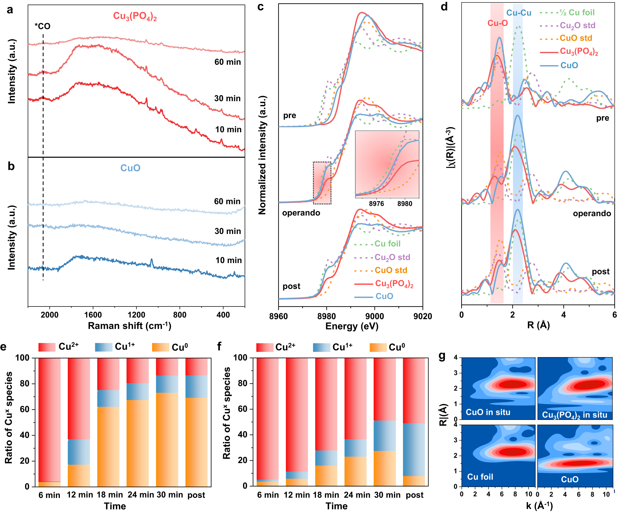 Fig. 3: Structural evolution investigation of CuPO and CuO catalysts during CO2RR.