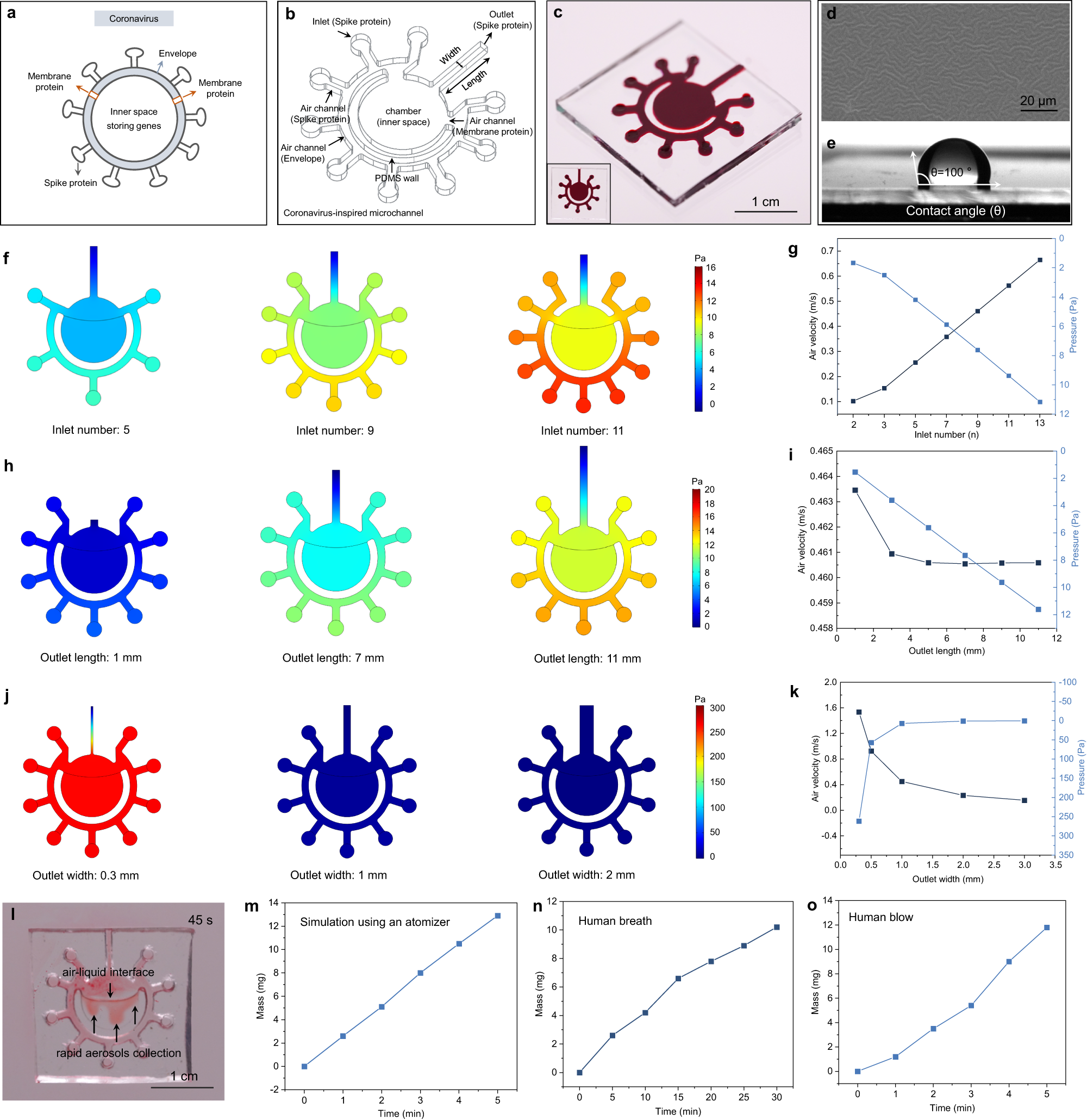 Fig. 2: Coronavirus-inspired microchannel and the rapid collection of breath sample and blow sample.