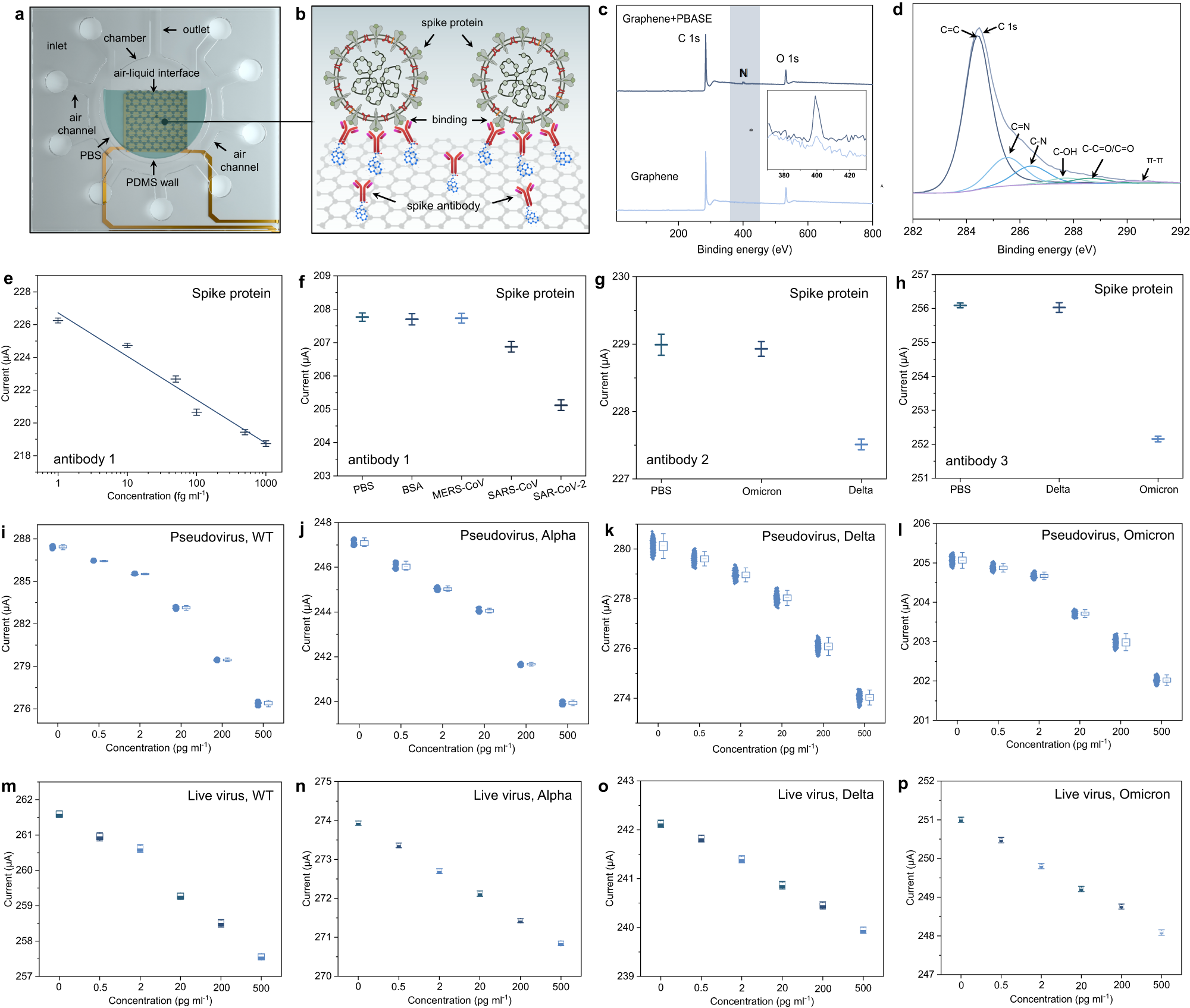Fig. 3: Surface modification and detection performance of the PIDS for SARS-CoV-2 spike proteins, pseudo virus and live virus.