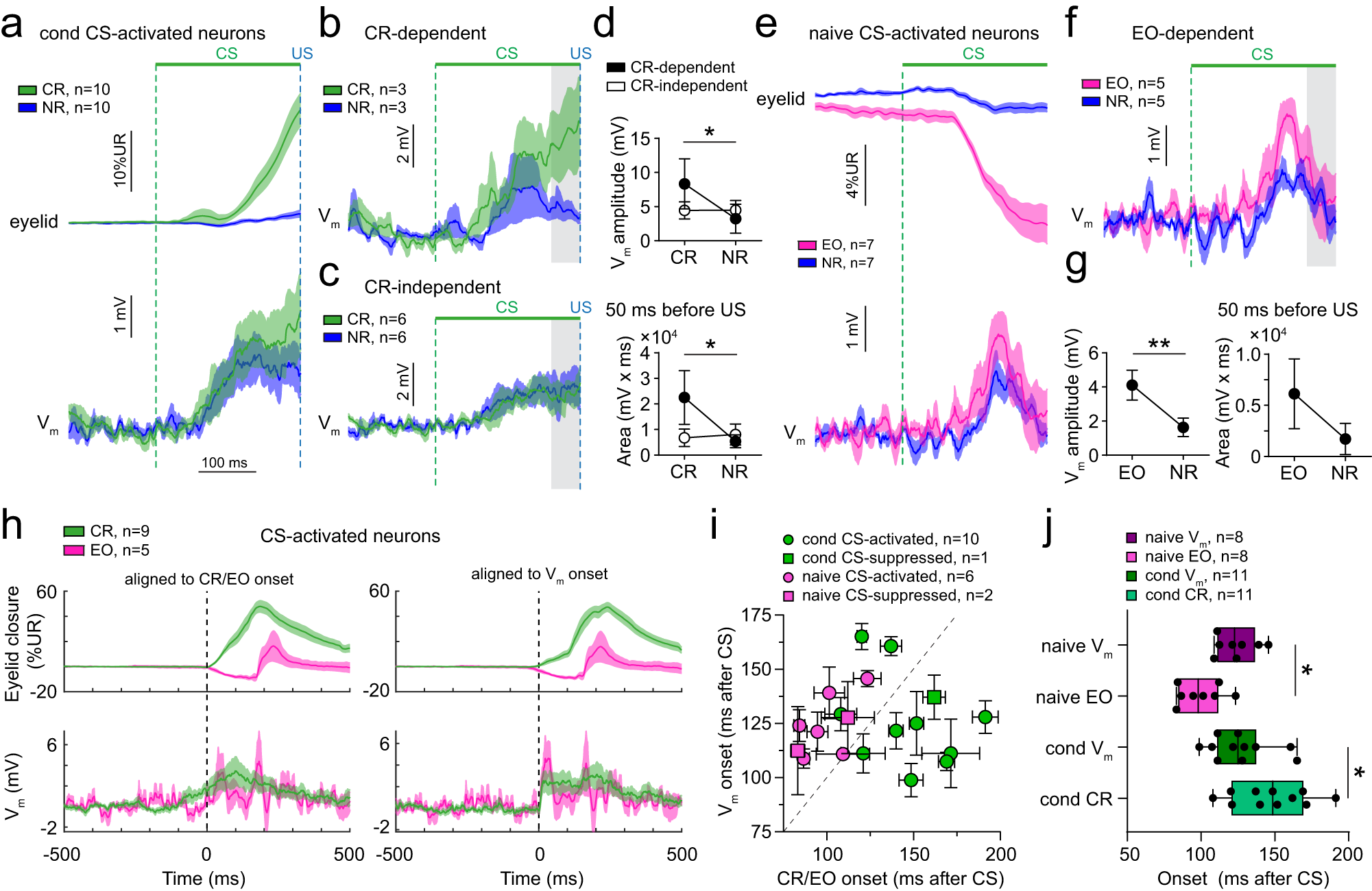 Fig. 4: Relationship between membrane potential responses in CS-activated neurons and eyelid movements.