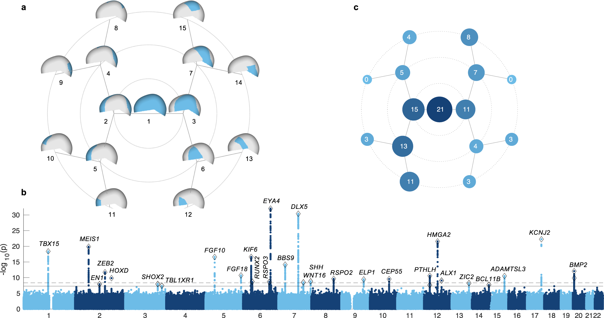 https://media.springernature.com/full/springer-static/image/art%3A10.1038%2Fs41467-023-43237-8/MediaObjects/41467_2023_43237_Fig1_HTML.png