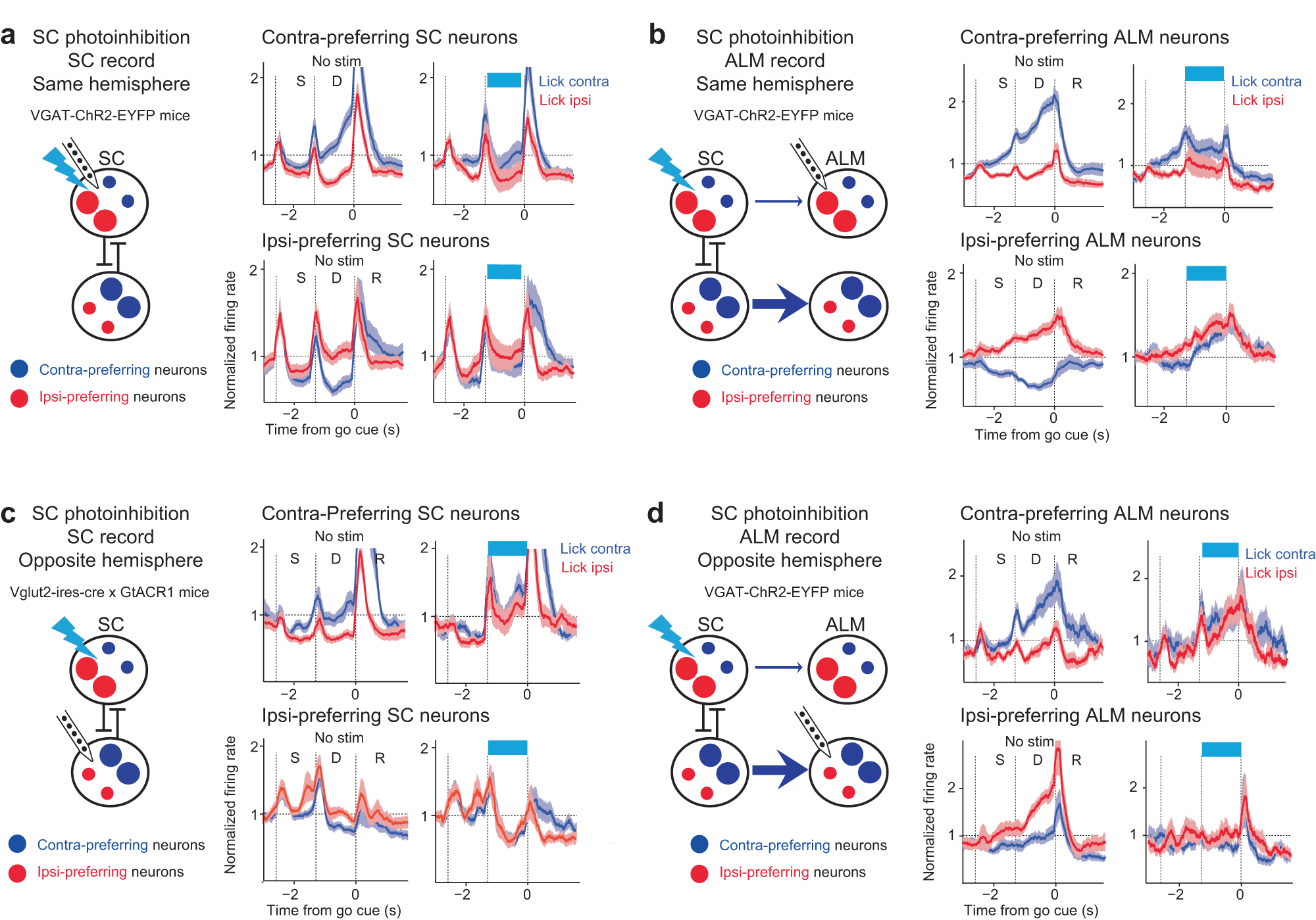 Fig. 5: SC photoinhibition biases choice representations across both hemispheres.