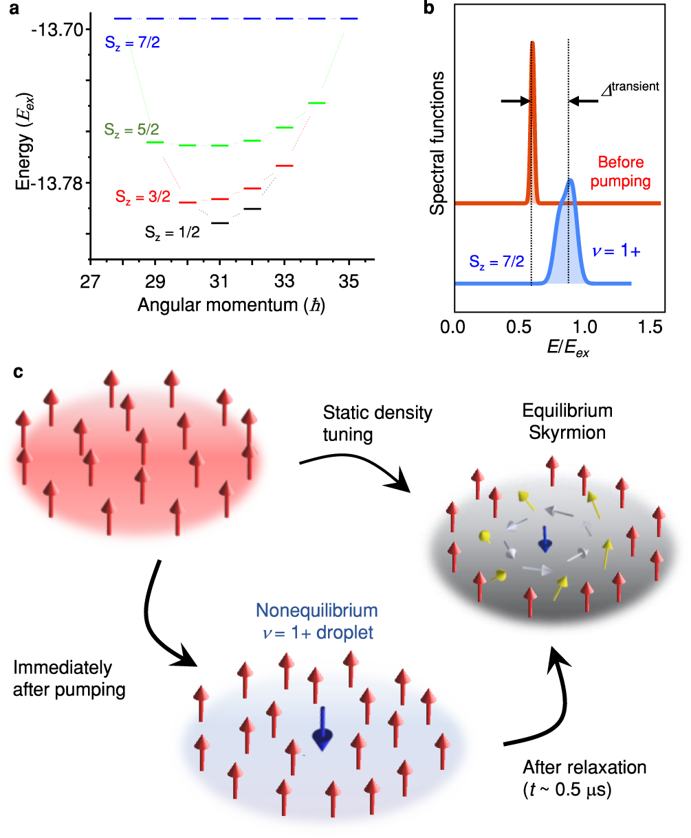 Fig. 4: Exact diagonalization calculation and model for the transient behavior observed at ν = 1.