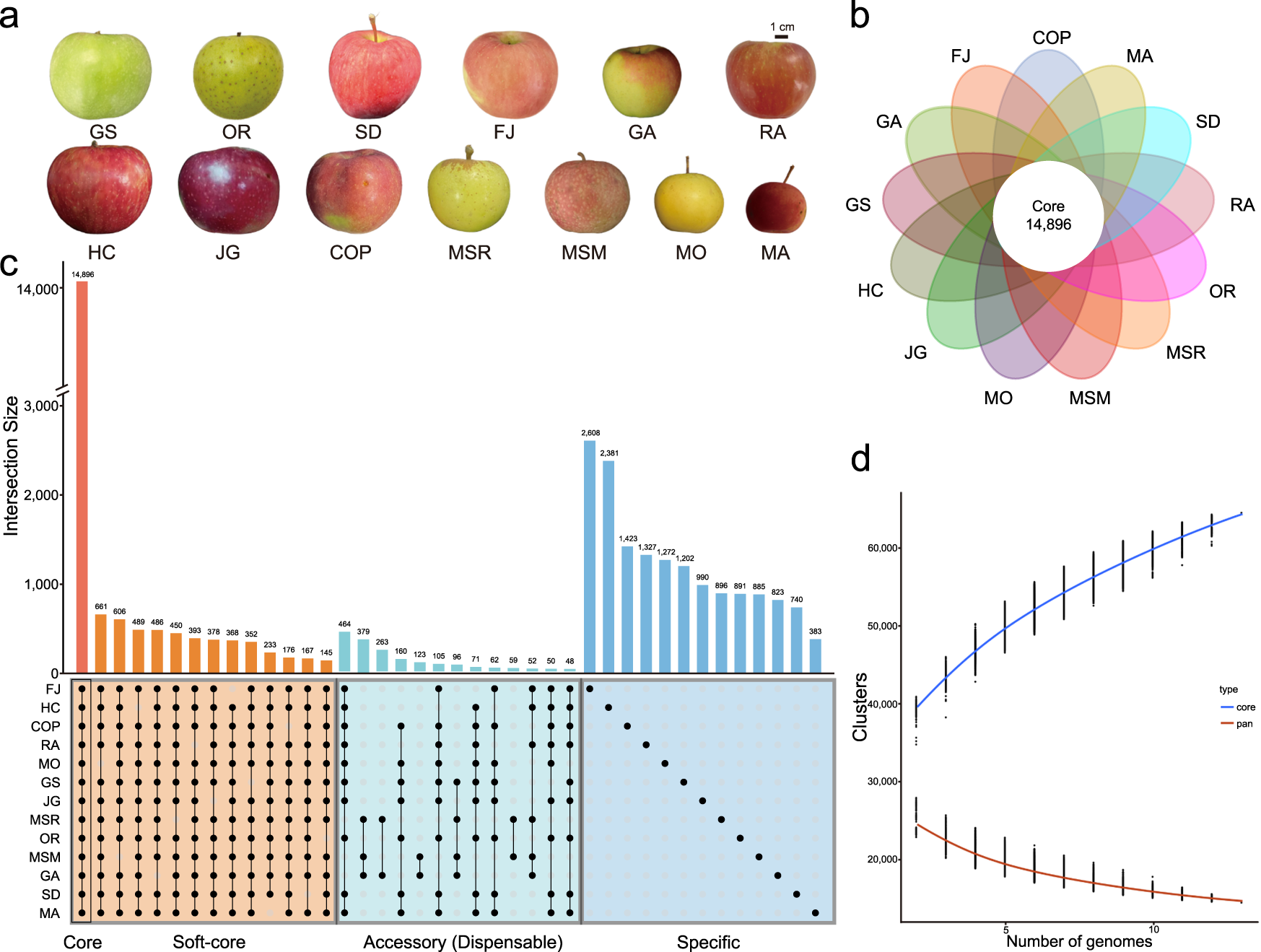 Scientists Sequence Honeycrisp Apple Genome- Crop Biotech Update