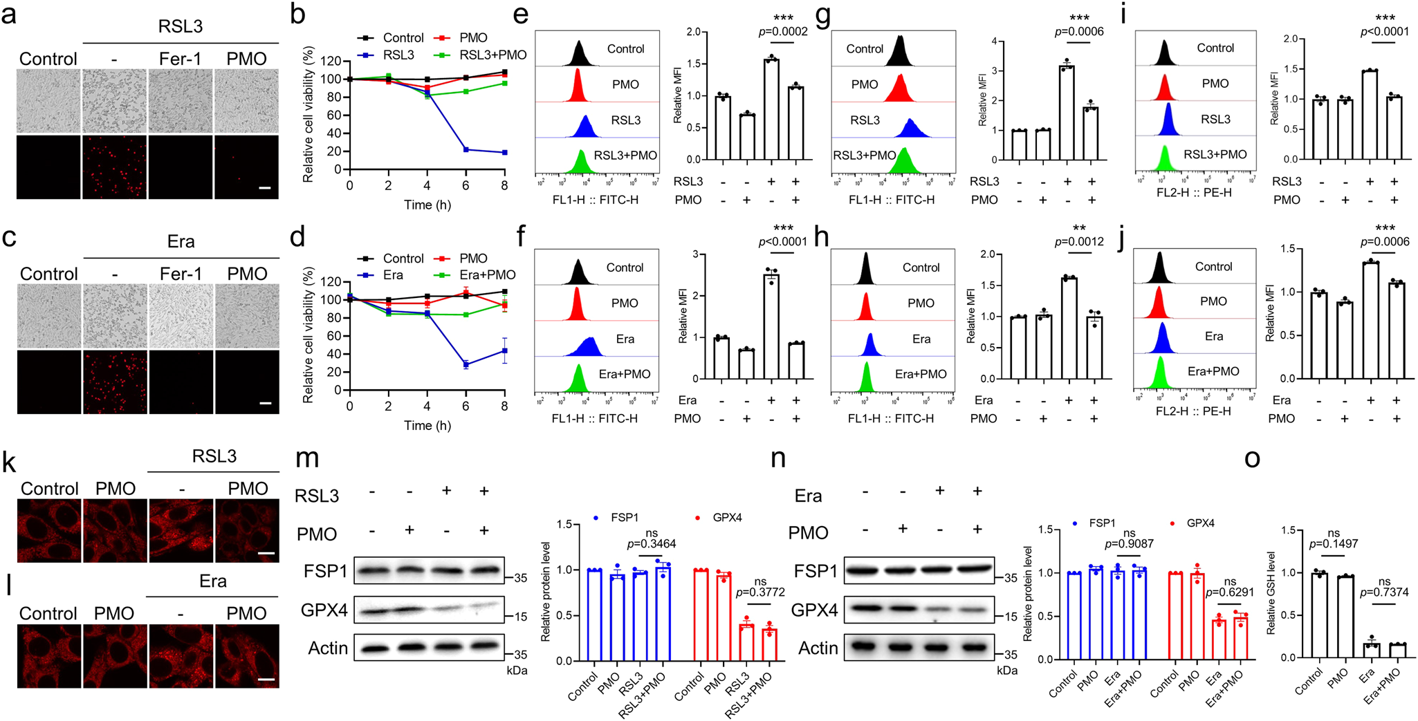 Fig. 2: PMO effectively counteract ferroptosis.