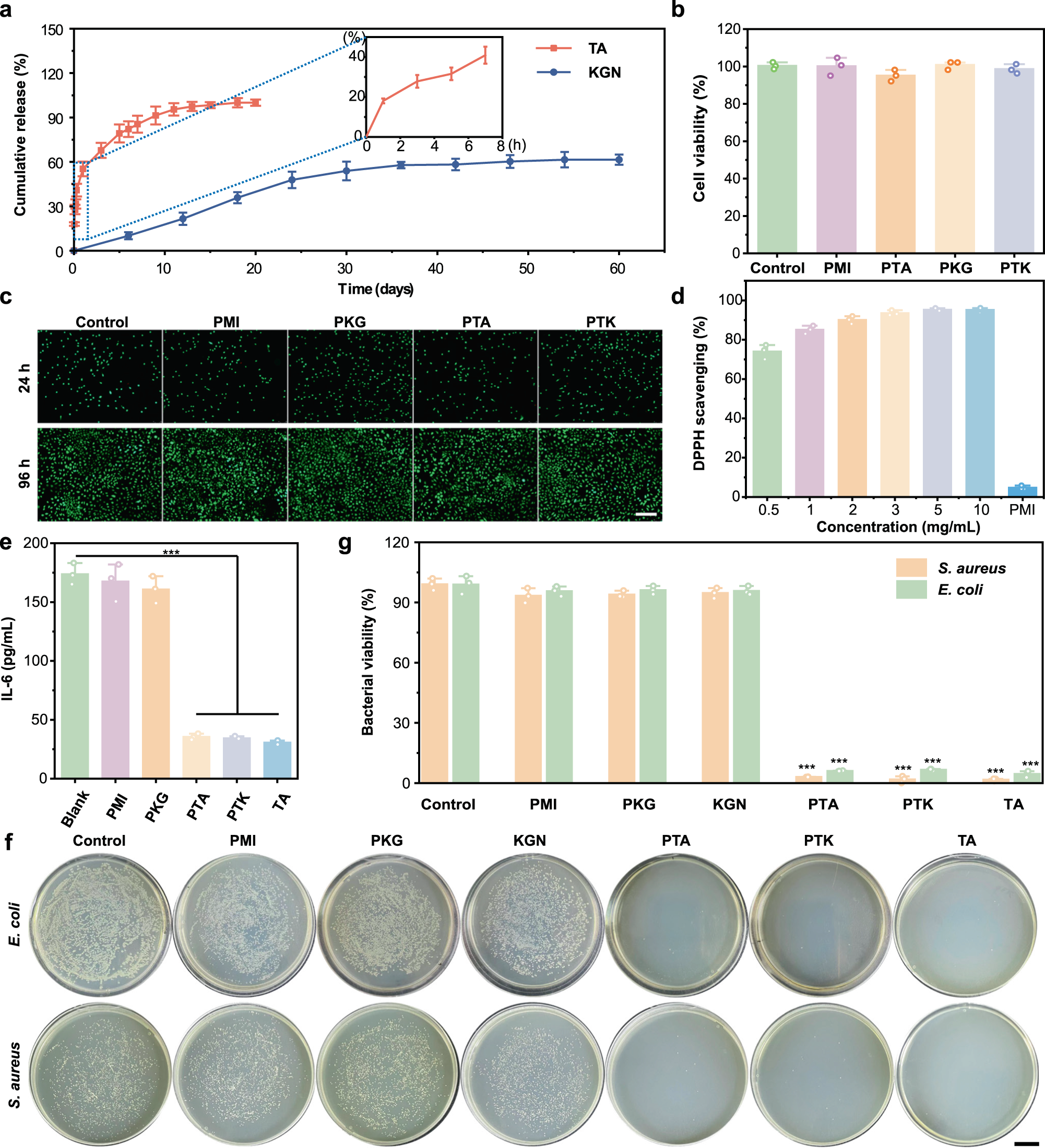Fig. 3: Drug release profiles and bioactive properties of PTK hydrogel.