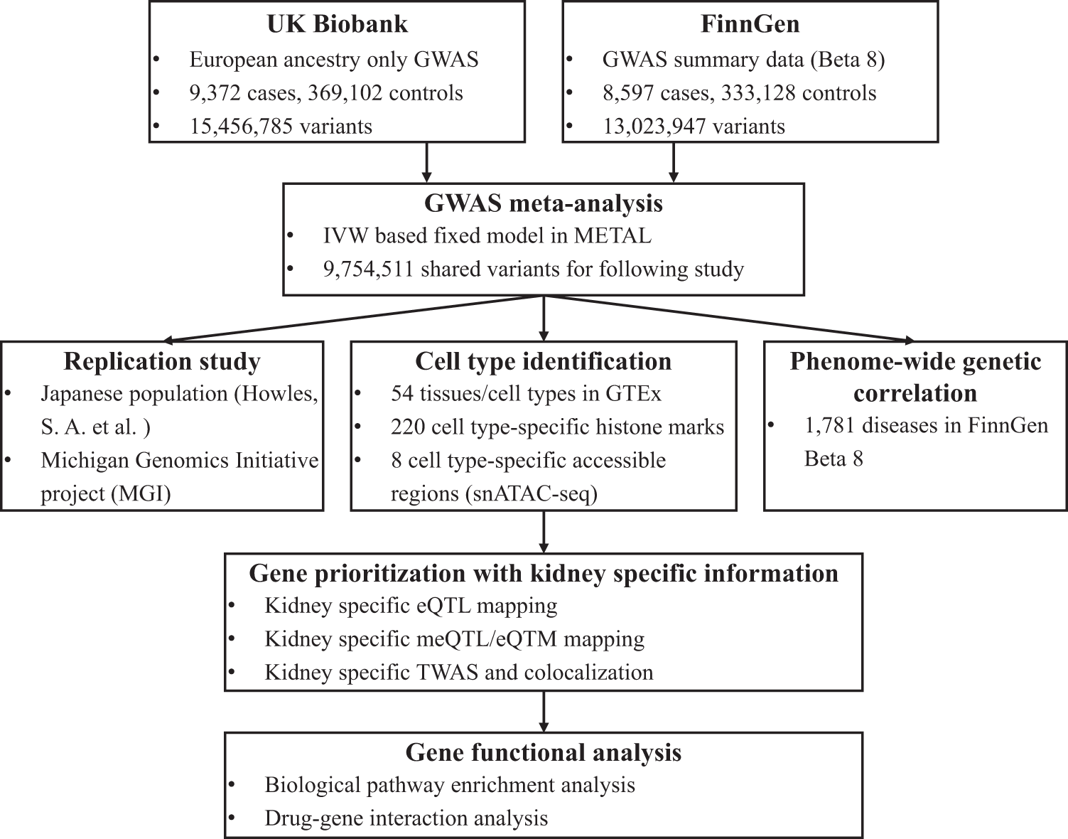 Fig. 1: Analysis workflow of the integrative GWAS on kidney stone disease.