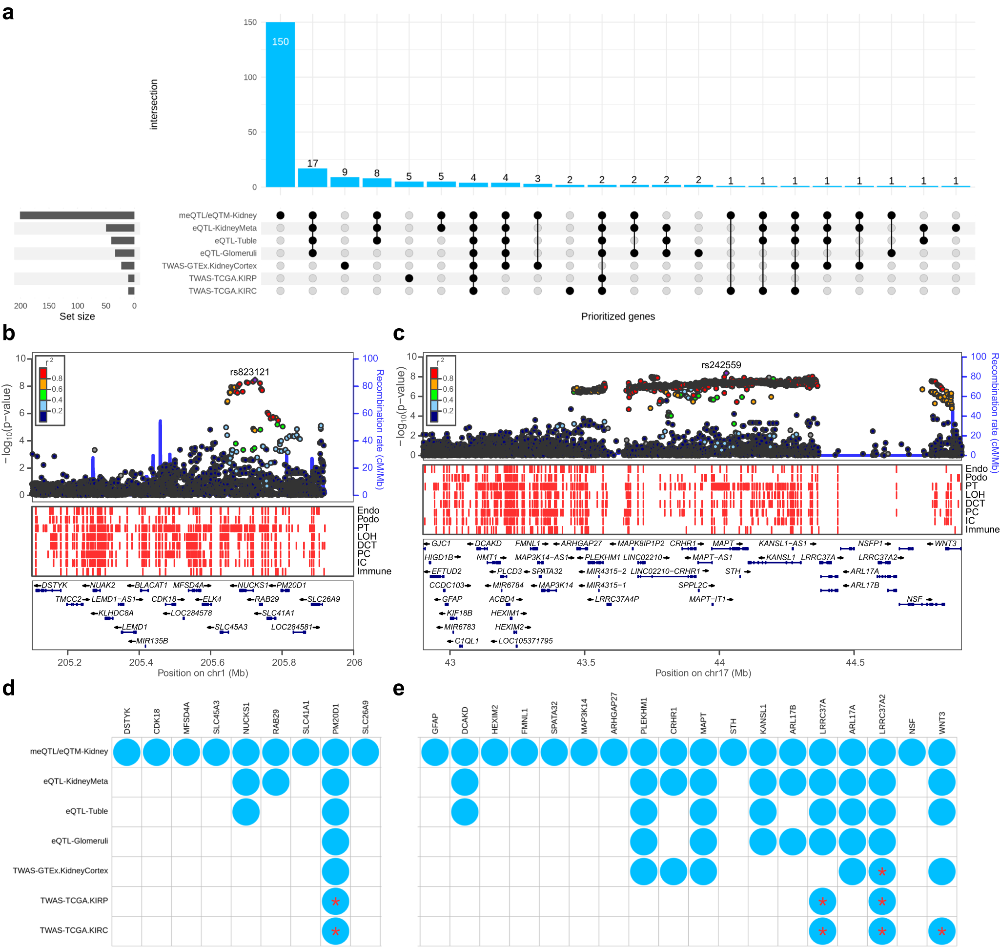 Fig. 4: Gene prioritization for kidney stone disease.