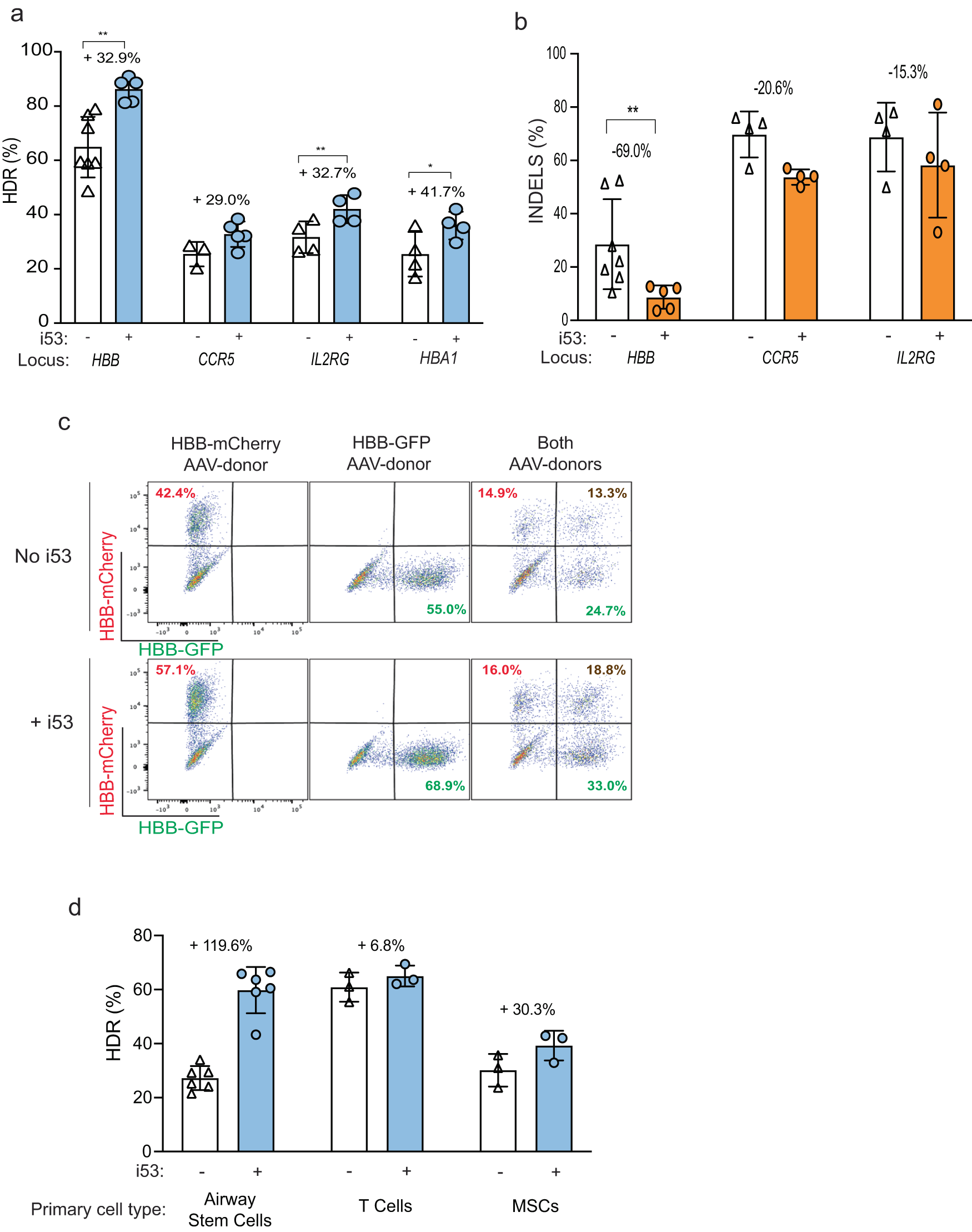 Fig. 3: Cas9-RNP and AAV6-mediated targeting of human primary stem cells using i53 peptide.