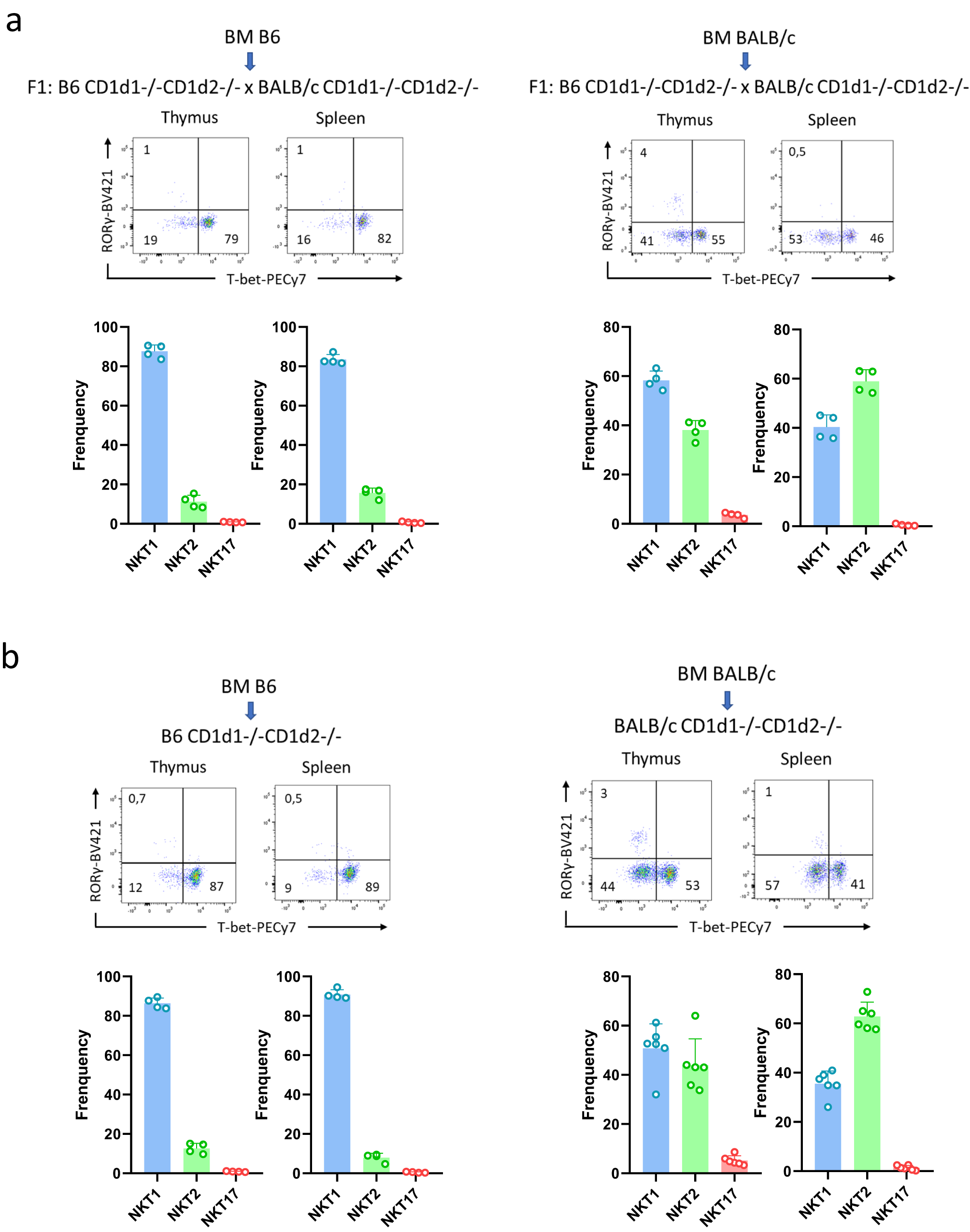 Fig. 4: Factors intrinsic to hematopoietic cells contribute to the differential NKT cell subset distribution profile.