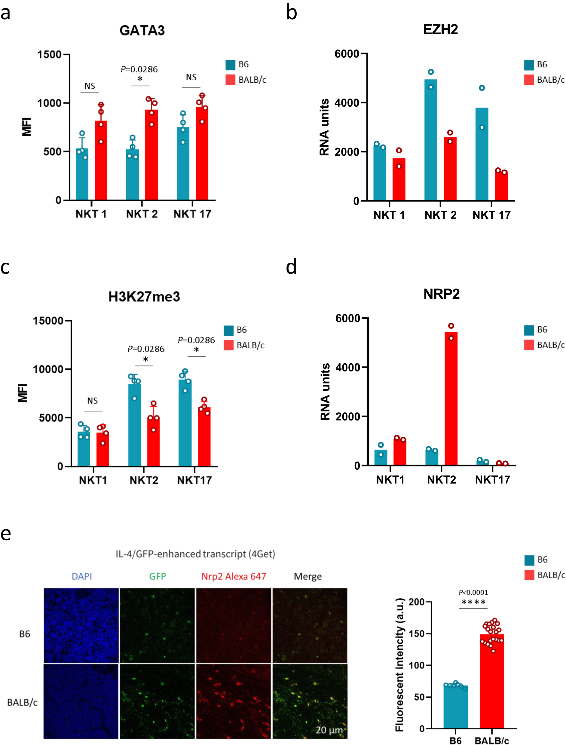 Fig. 6: Differential expression levels of key intrinsic factors involved in NKT cell subset development and/or function in B6 vs BALB/c mice.