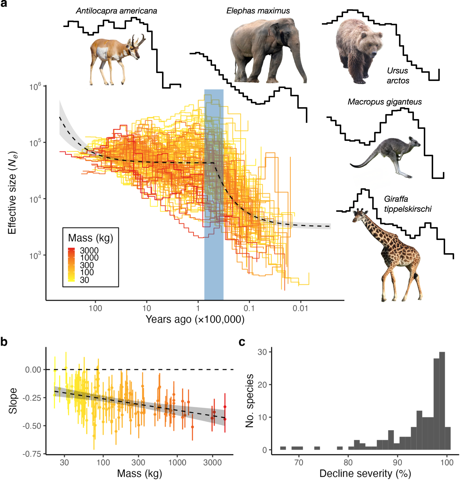 Worldwide Late Pleistocene and Early Holocene population declines in extant  megafauna are associated with Homo sapiens expansion rather than climate  change | Nature Communications, image size:1499x1564