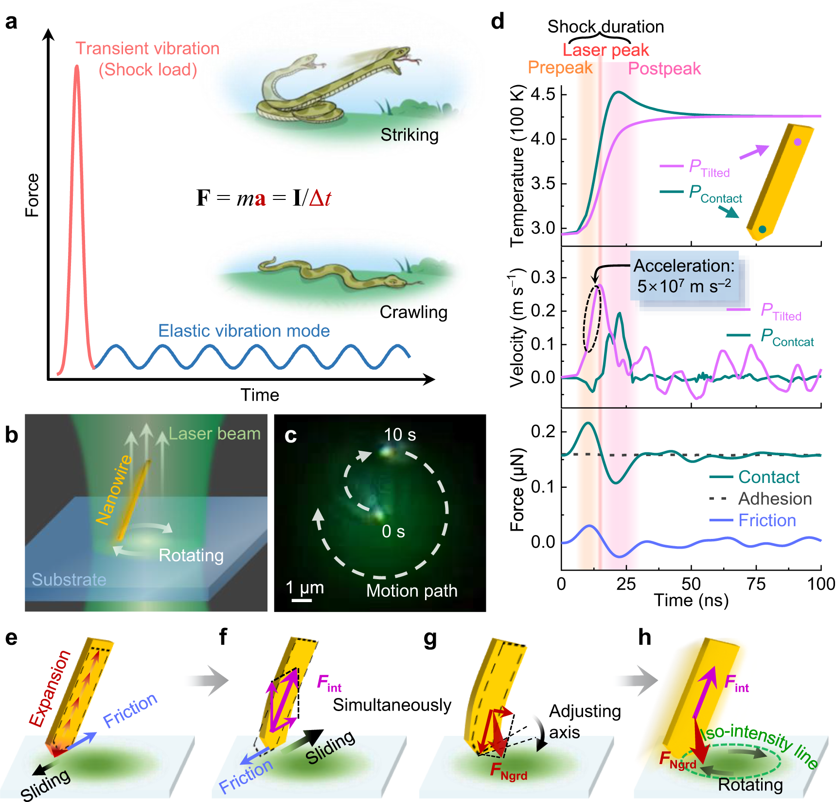 Autonomous nanorobots with powerful thrust under dry solid-contact  conditions by photothermal shock | Nature Communications
