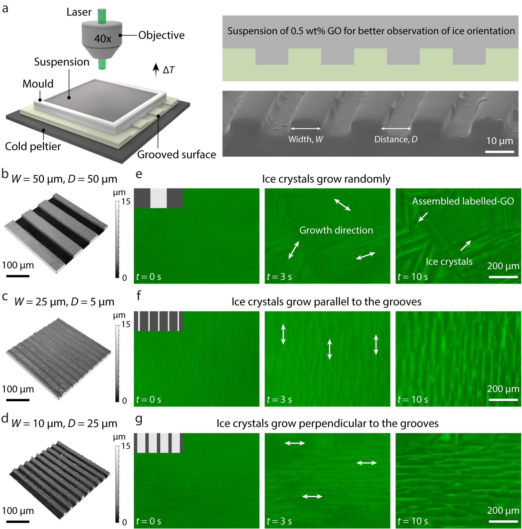 Ice-Templated Fabrication of Porous Materials with Bioinspired Architecture  and Functionality